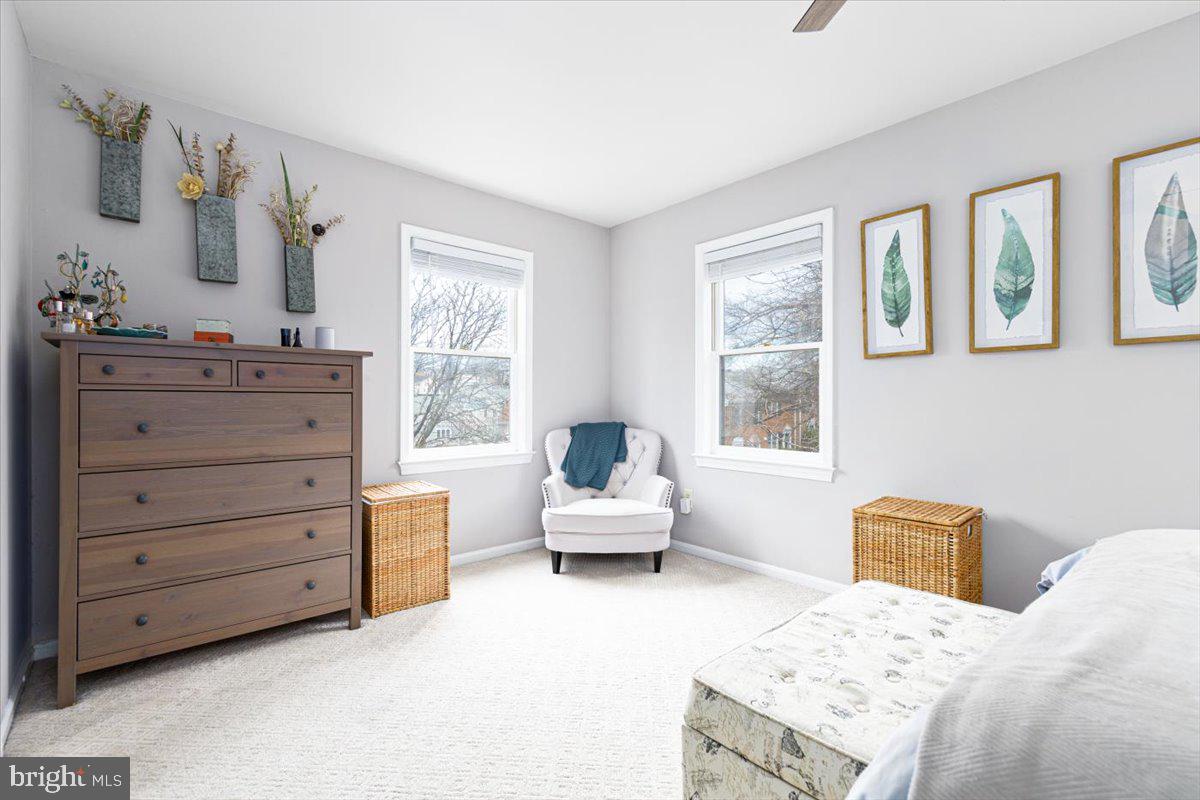 HENSON PARK - Residential