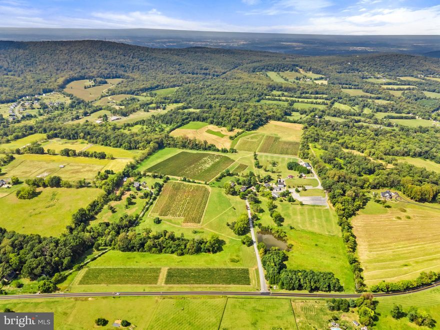 An extraordinary opportunity awaits with the acquisition of one of Virginia’s premier wine estates—recipient of the prestigious 2020 Virginia Governor’s Cup for its 2017 Vidal Blanc Passito.

Set on 120 rolling acres, including 21 acres under vine, 868 Estate Vineyards cultivates an impressive portfolio of varietals: Chambourcin, Chardonel, Petit Verdot, Cabernet Franc, Tannat, Sauvignon Blanc, Petit Manseng, Merlot, Viognier, and Nebbiolo. With substantial additional acreage, the property offers excellent potential for future vineyard expansion.

More recent accolades for 868 included best in class at the 2025 Loudoun Wine Awards for their 2023 Sauvignon Blanc which also earned a Gold at the Virginia Governor’s Cup and 2023 Cabernet Franc; Gold from the American Wine Society for their 2023 Meritage (93 points); Gold at the 2025 Virginia Governor’s Cup for their 2022 Meritage and another Gold for their 2022 Chardonnay. A full list of accolades is available by request.

The estate presents a rich array of amenities, including a well-established tasting room, covered pavilion, large permanent canopy for events, and a pergola for al fresco enjoyment. The modern winery facility features a steel tank room, barrel room, and case storage. Notable additions include an 1840 manor house awaiting restoration, a winemaker’s cottage with supporting structures, and the former acclaimed farm to table restaurant, Grandale Farm, complete with a full commercial kitchen and infrastructure—ready for reinvention as a culinary destination.

The offering includes two LLCs encompassing the real estate, vineyard and winery equipment, machinery, tanks, barrels, and wine inventory, providing a true turnkey operation.

This is a rare chance to acquire a vineyard and winery of distinction in the heart of Virginia wine country—ideal for those driven by a passion for viticulture, hospitality, and legacy-building.