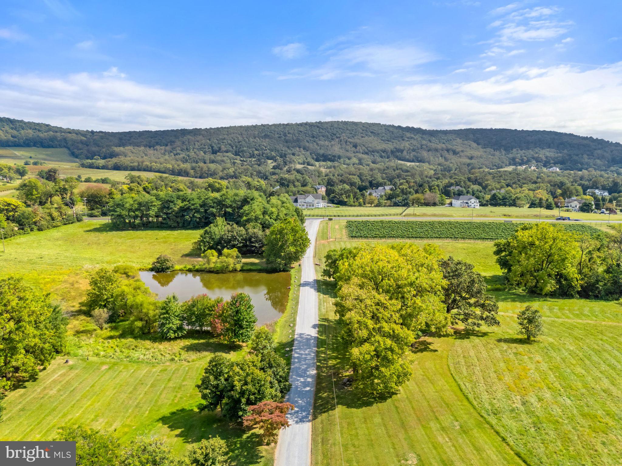 NONE AVAILABLE - Farm