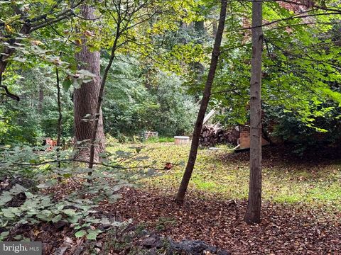 Vacant Land For Sale - Mount Sinai Pointe<br/> FORT VALLEY, VA 22652