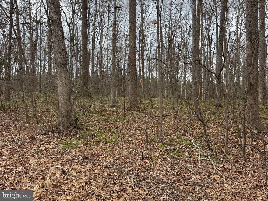 Beautiful 1.5-acre parcel located in the middle of Harness Lane in the desirable Bien Venue Plantation community. This level to gently rolling lot offers an ideal setting for your future home, with a nice balance of open space and natural surroundings. Enjoy privacy and a peaceful, well-maintained neighborhood while still being conveniently located to nearby towns, shopping, and commuter routes. Bring your builder and start planning—this property offers excellent potential in an established community setting.