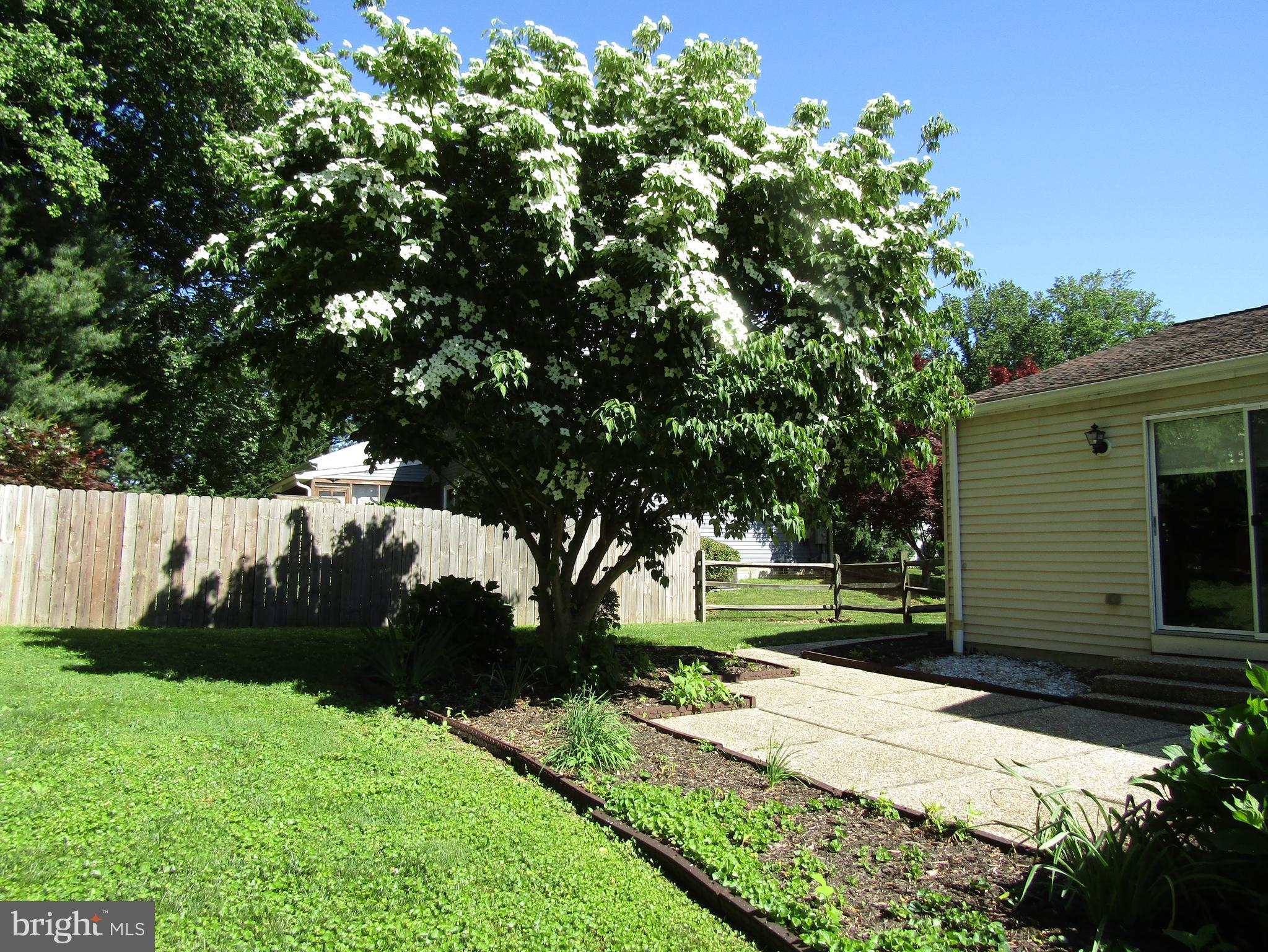 FOX BOW - Residential