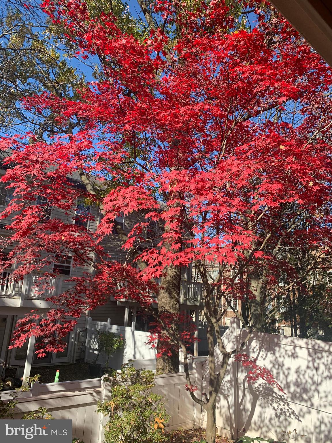 VIRGINIA CENTER - Residential