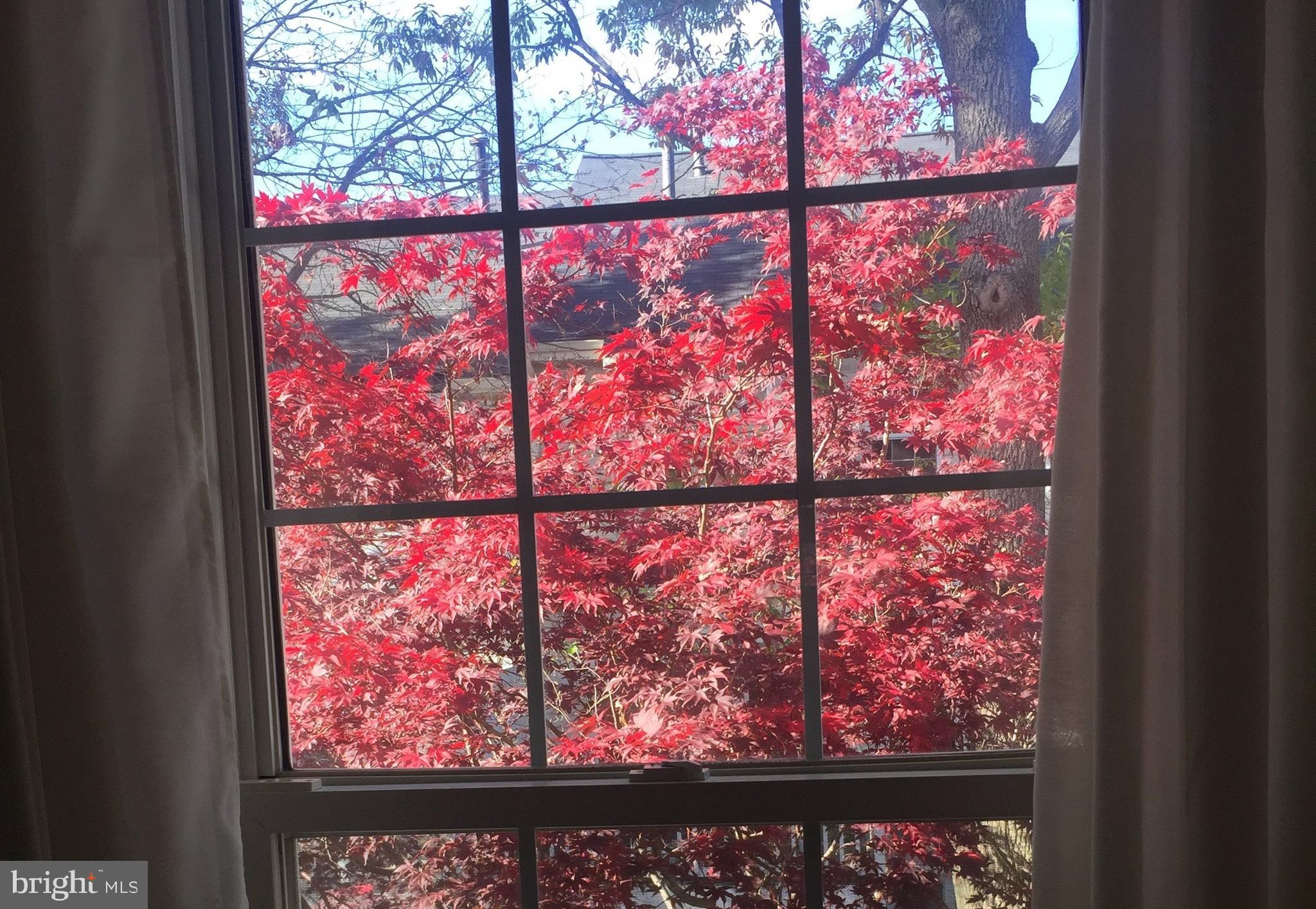 VIRGINIA CENTER - Residential