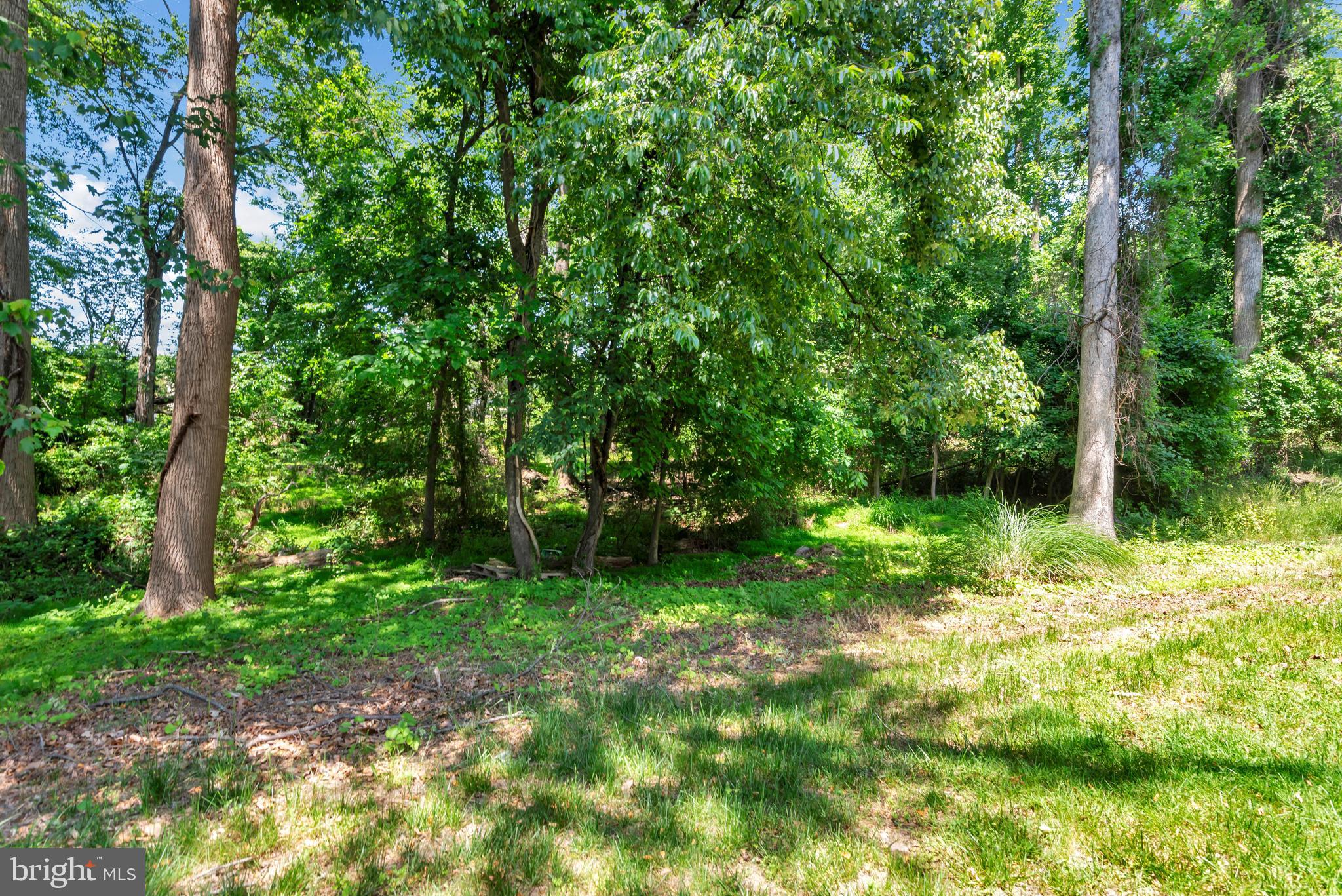 CARRIAGE PINES/LAKE VILL - Residential