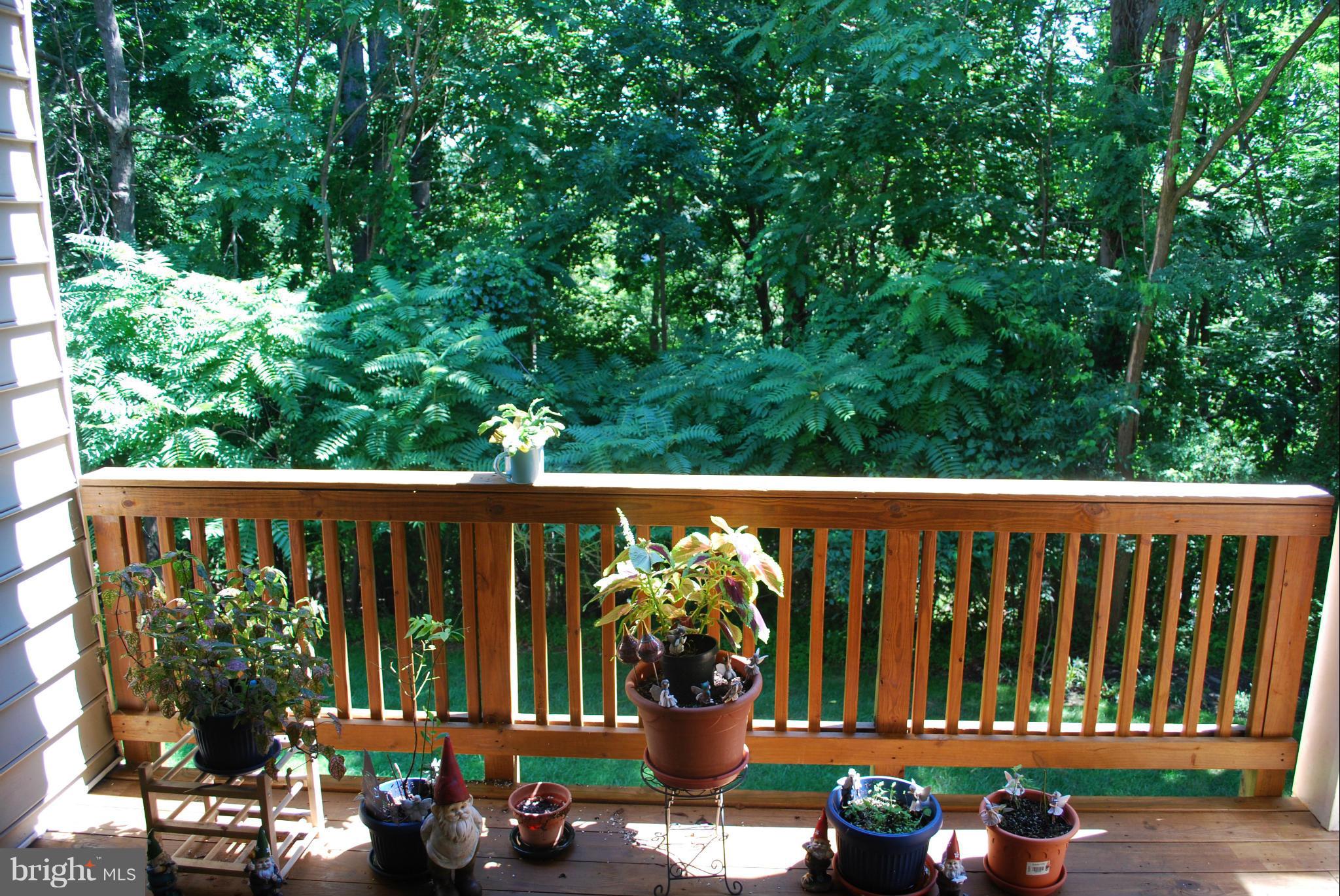 BARRINGTON/OCCOQUAN PNTE - Residential Lease