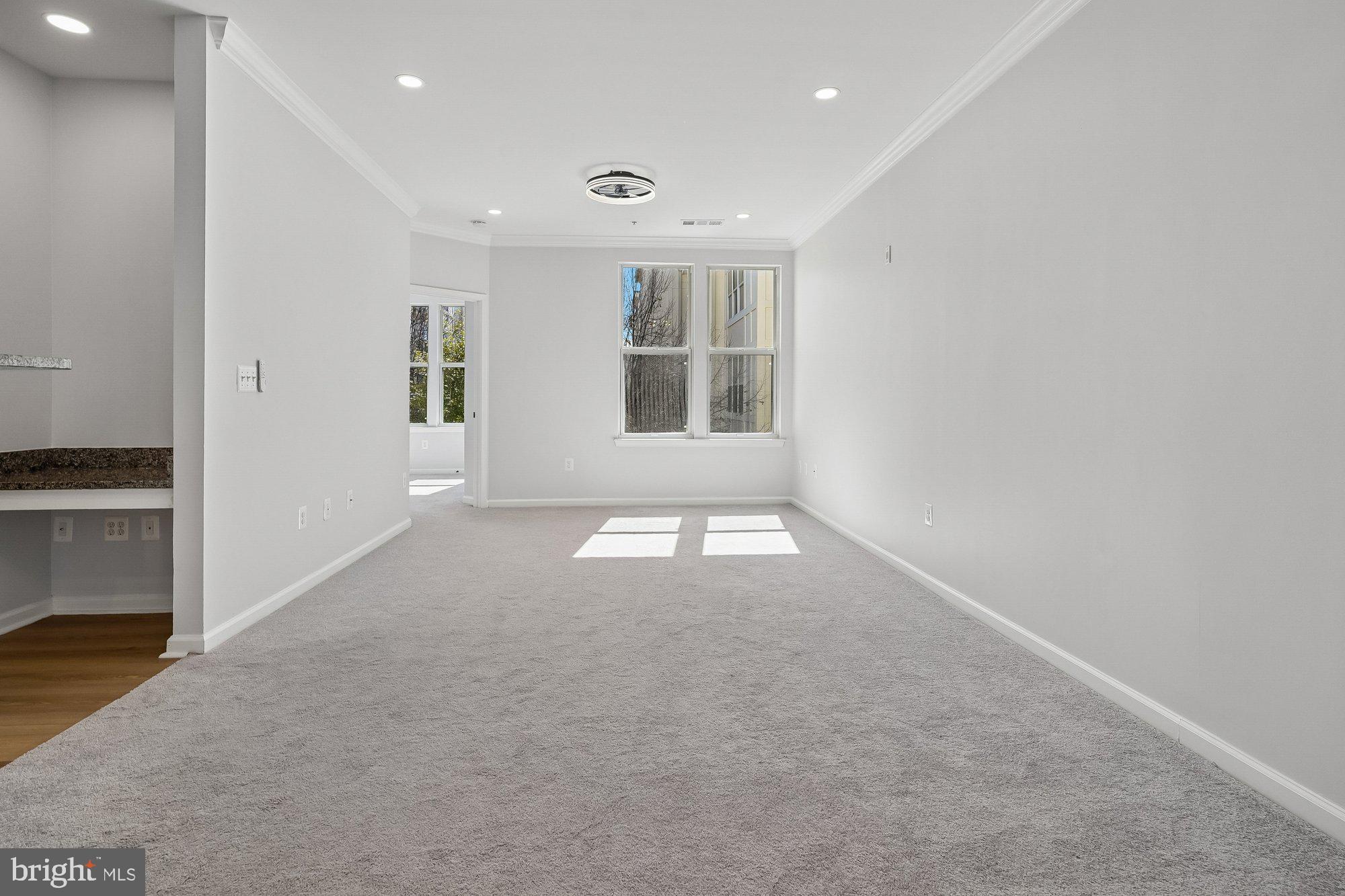 SAVOY AT RESTON TOWN CENTER - Residential