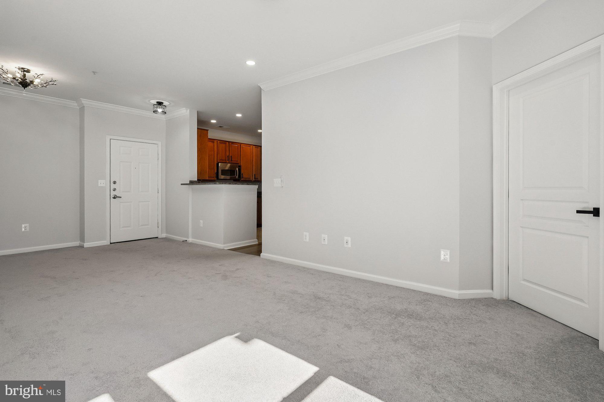 SAVOY AT RESTON TOWN CENTER - Residential