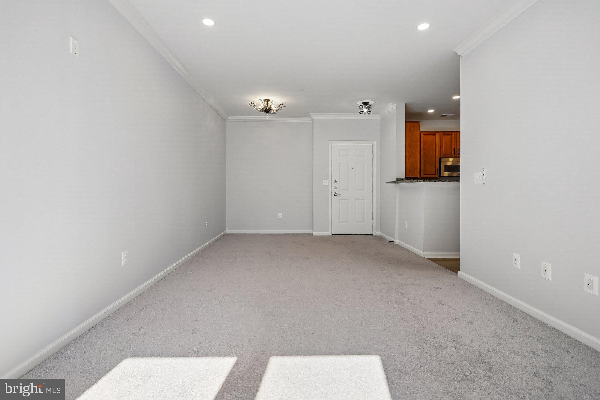 SAVOY AT RESTON TOWN CENTER - Residential