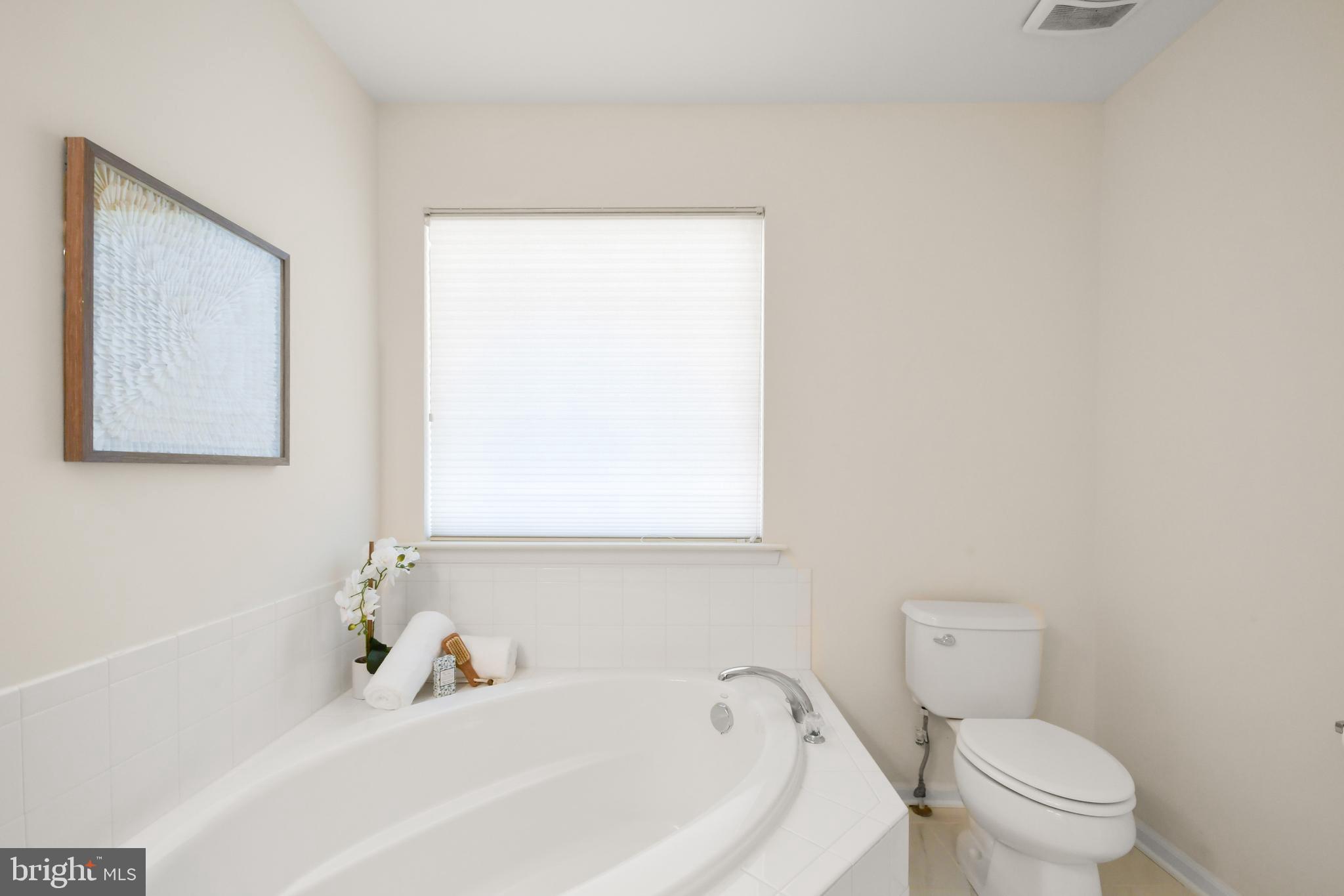 COLLEGIATE ACRES - Residential