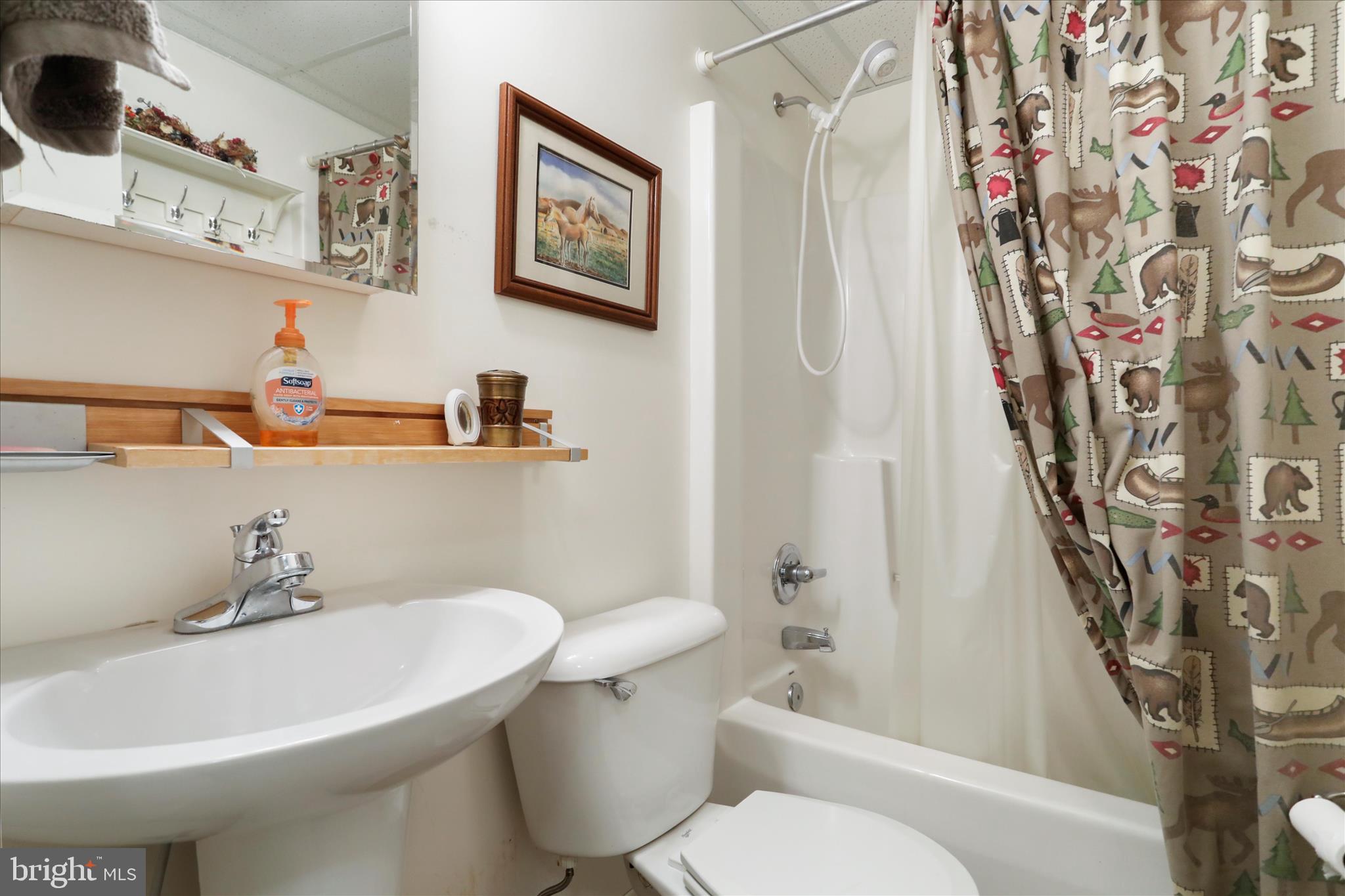 CACAPON SOUTH - Residential