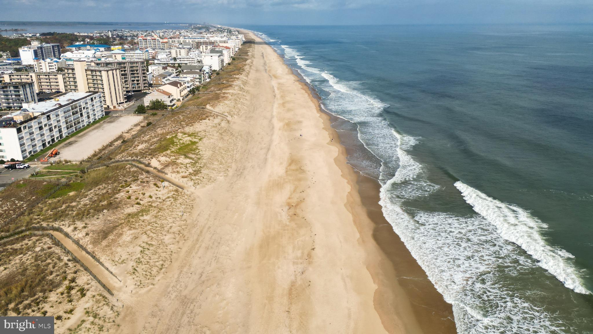 13401 WIGHT STREET 306