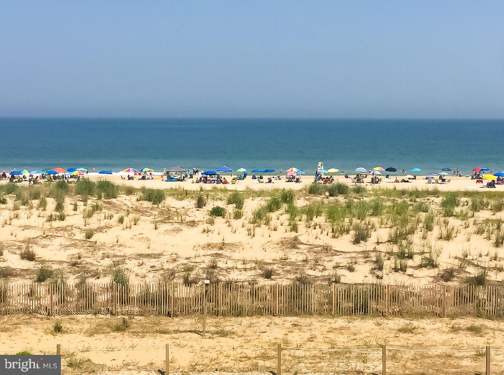 13401 WIGHT STREET 306