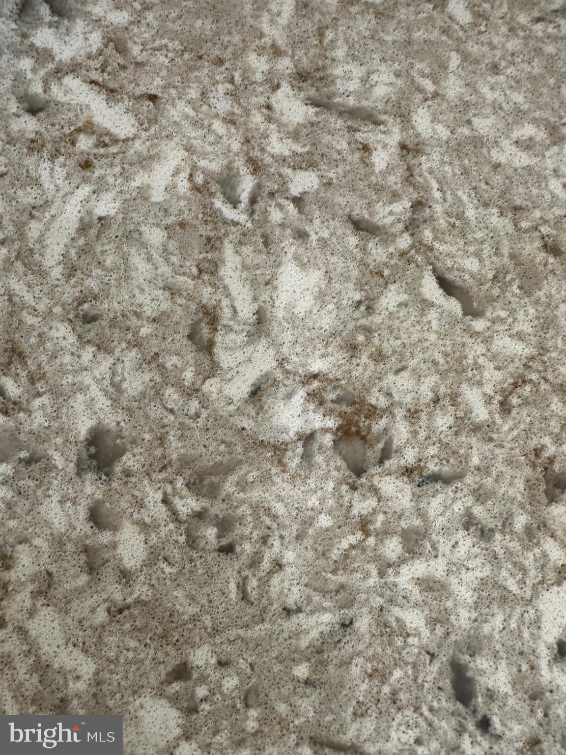 GROVE PARK - Residential