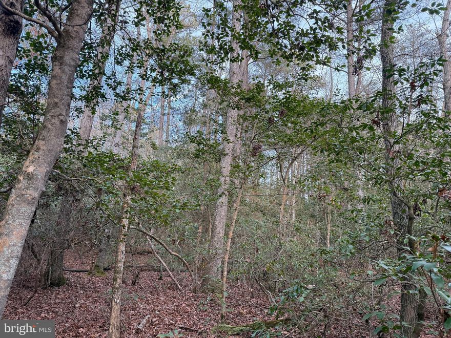 Rare 4.239-acre wooded sanctuary with approved perc in Valley Lee, the perfect canvas for your dream retirement home or development opportunity. This pristine parcel combines natural serenity with practical build-ready advantages. Mature trees provide exceptional privacy and natural cooling, ideal for a one-level custom home designed for comfortable retirement living. The approved percolation test, platted and recorded, eliminates a critical development hurdle and allows you to move directly to the building phase with confidence. No HOA restrictions mean complete creative freedom in design and construction. For retirees, this expansive lot offers the peaceful, low-maintenance setting you've envisioned, surrounded by nature yet conveniently located with access to regional amenities. For builders and developers, the property represents a strategic opportunity in a market showing steady appreciation and strong demand for custom-built homes. The wooded landscape and privacy appeal strongly to discerning buyers, and the approved perc removes timeline risk from the development equation. Whether you're building your forever home, launching a construction project, or evaluating development potential, this exceptional lot offers the rare combination of readiness, privacy, and market-tested demand. Schedule your showing today to experience this remarkable property firsthand.