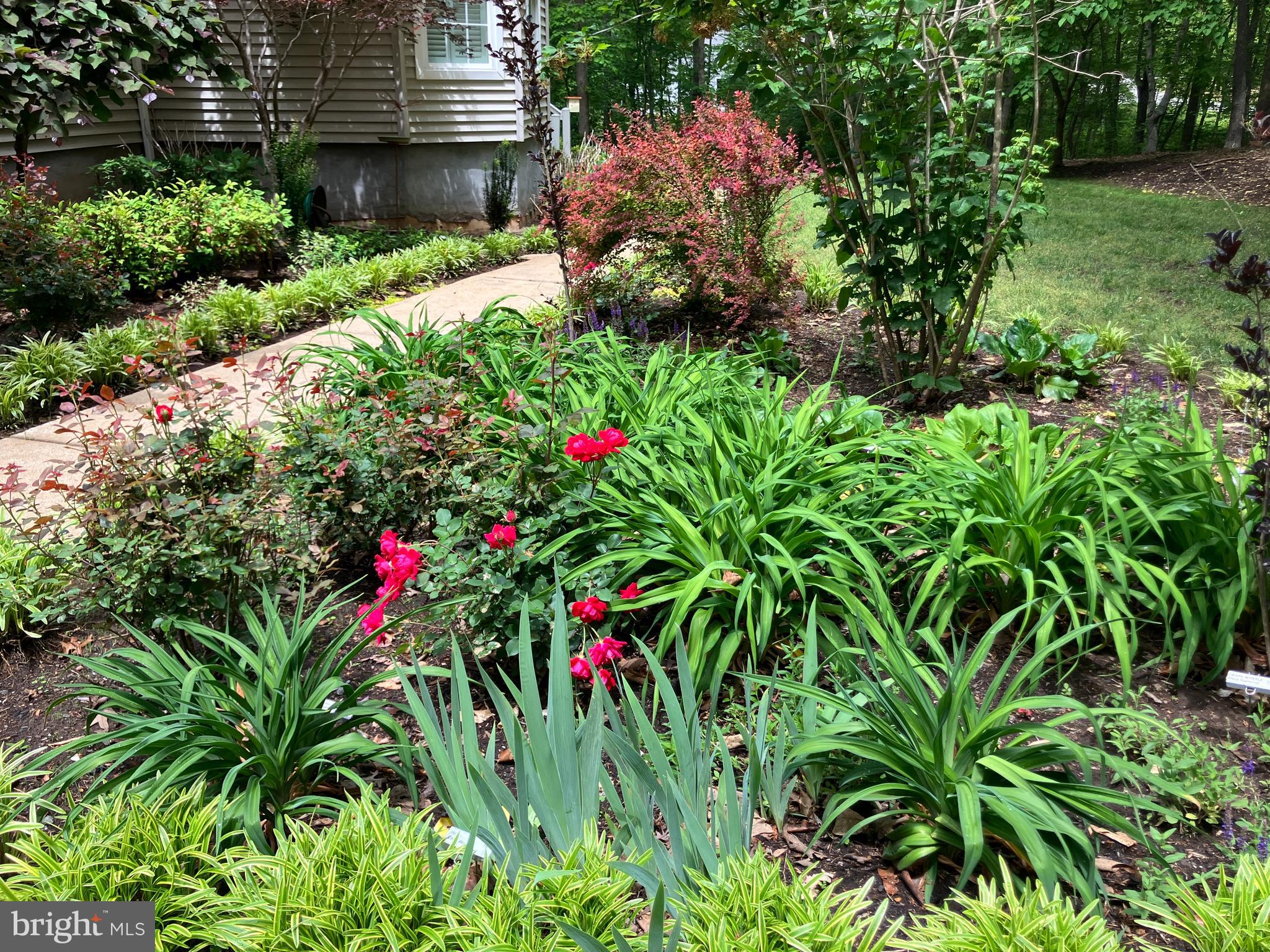 BYRD POINT - Residential