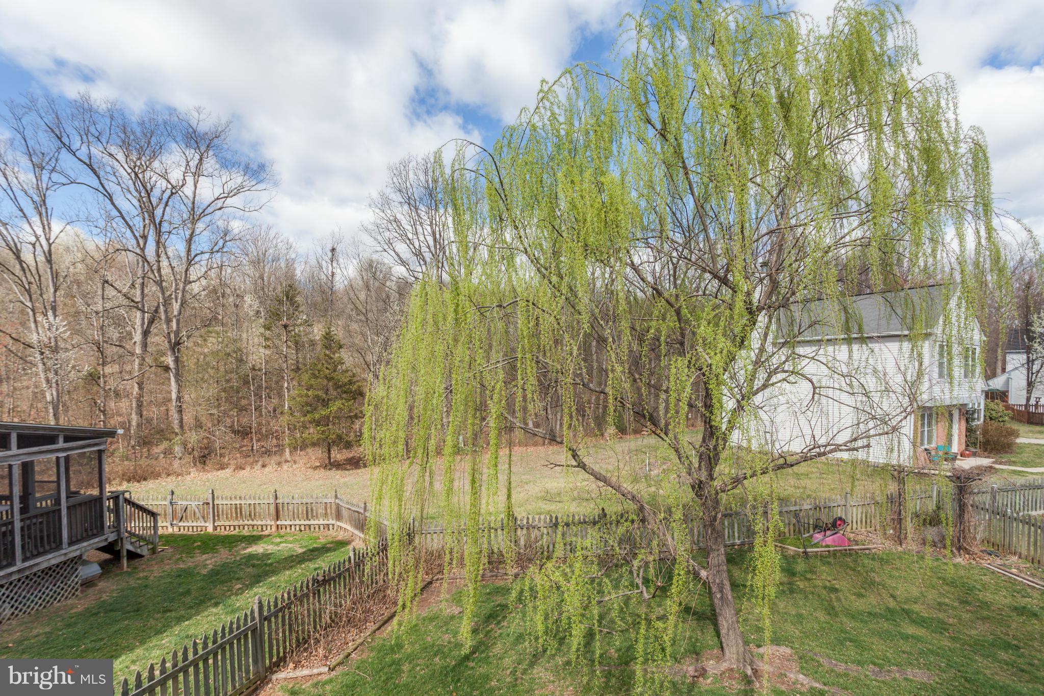 COUNTRYSIDE - Residential