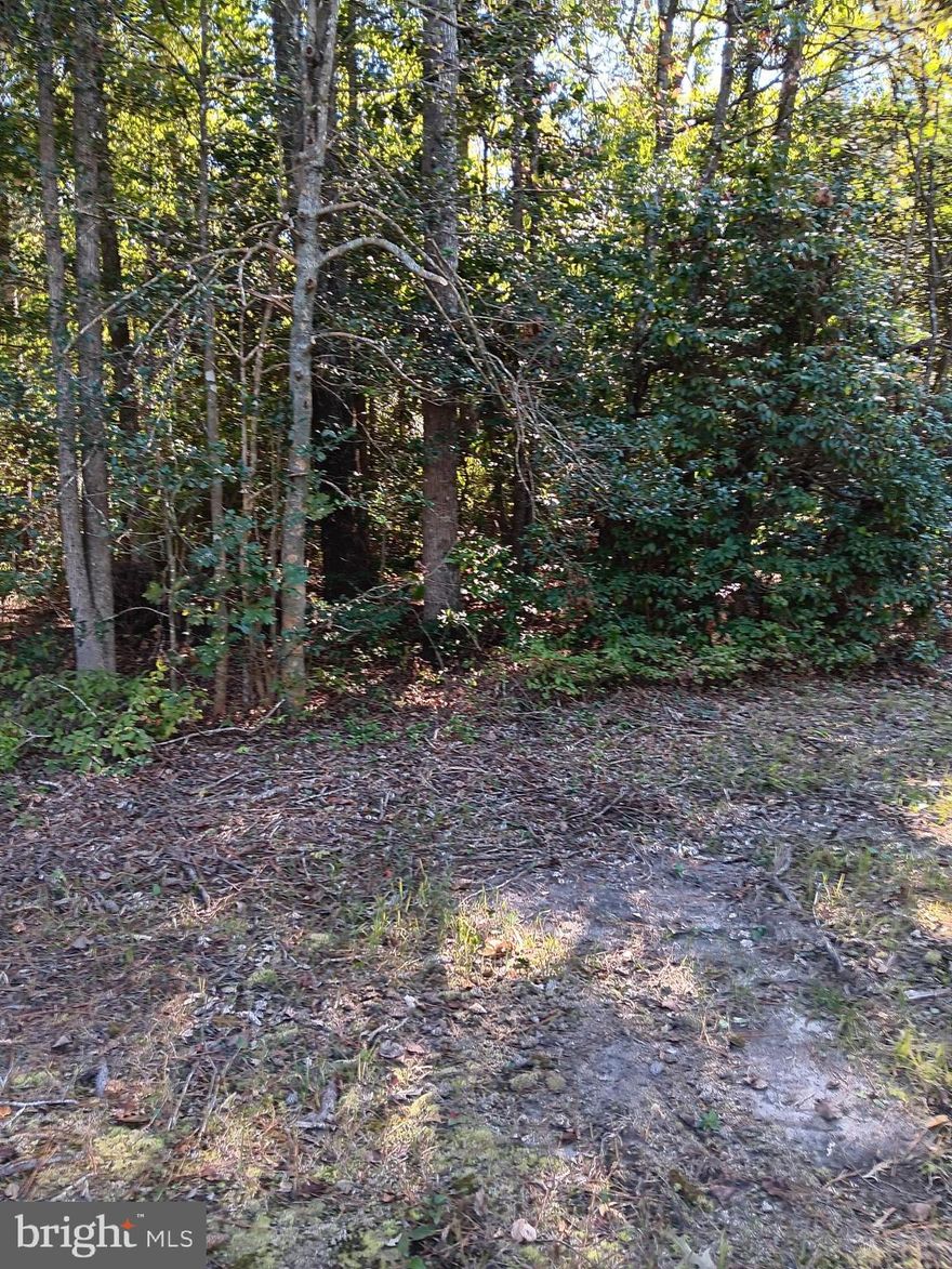 Great level investment lot in a quiet community in an undeveloped section of Colonial Estates. The lot size is 49 x 116=5609 sqft. Only minutes from the Town of Colonial Beach and close to Maryland Harry Nice Bridge. Community plat available. Call for an appointment.