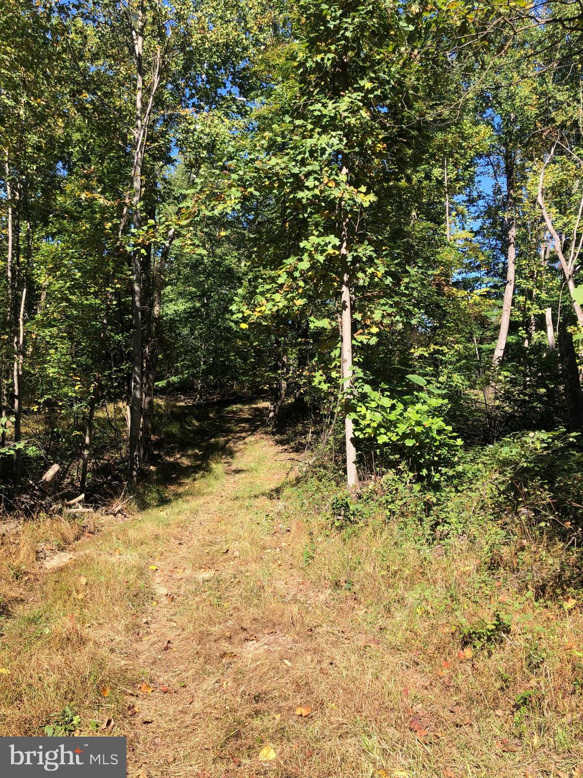 BROWNTOWN ROAD - Residential