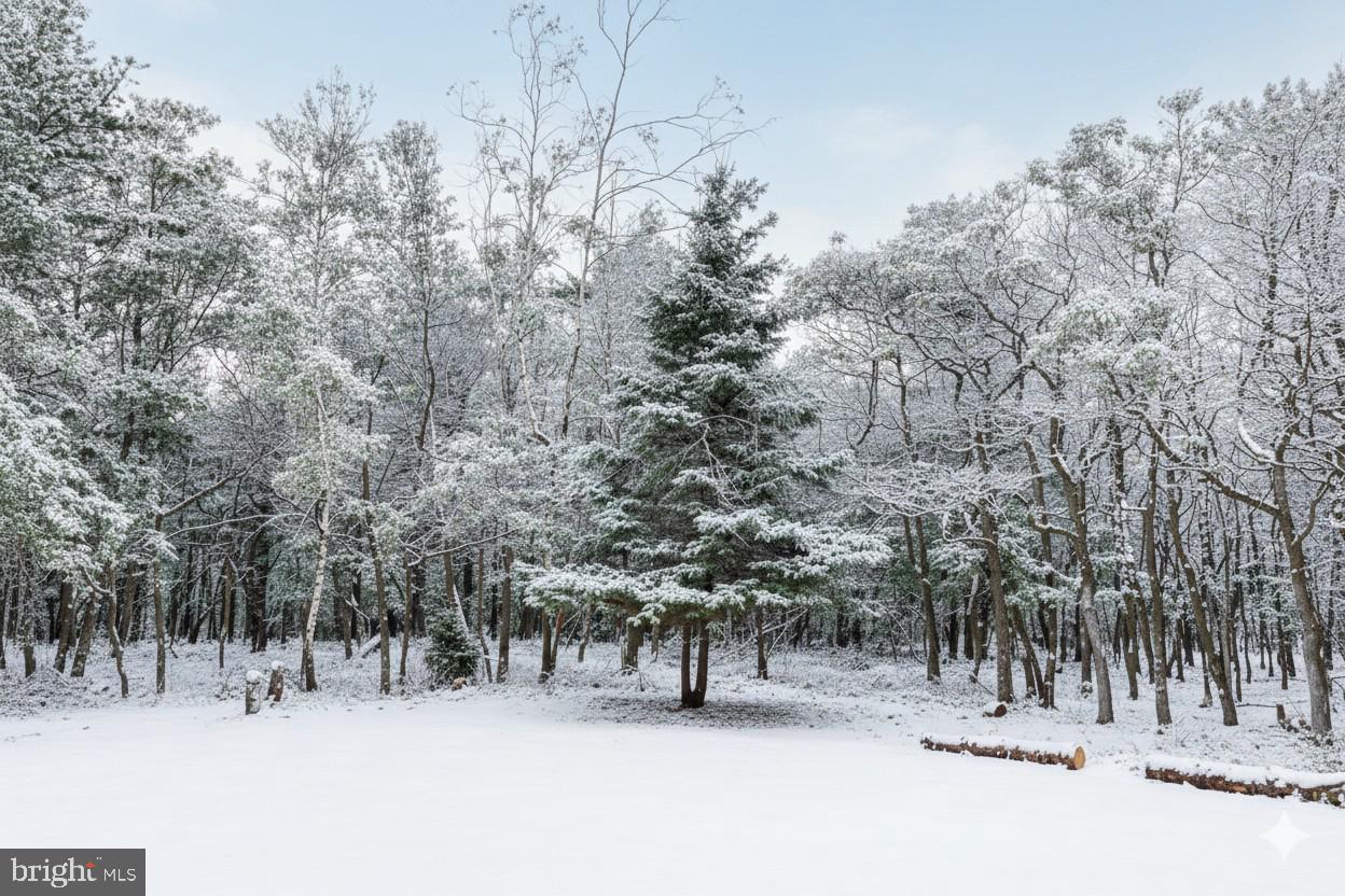 INDIAN MOUNTAIN LAKES - Residential