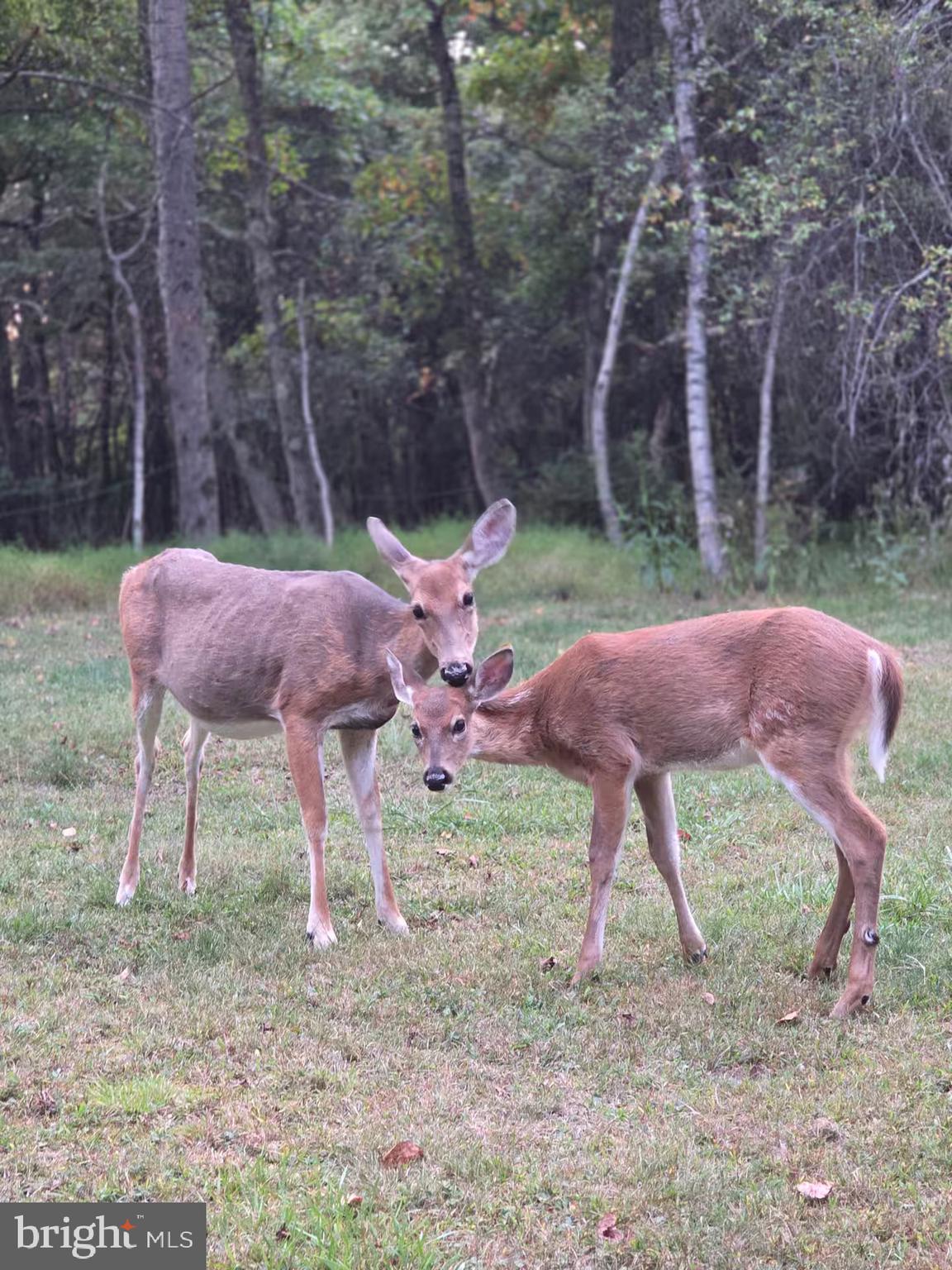 INDIAN MOUNTAIN LAKES - Residential