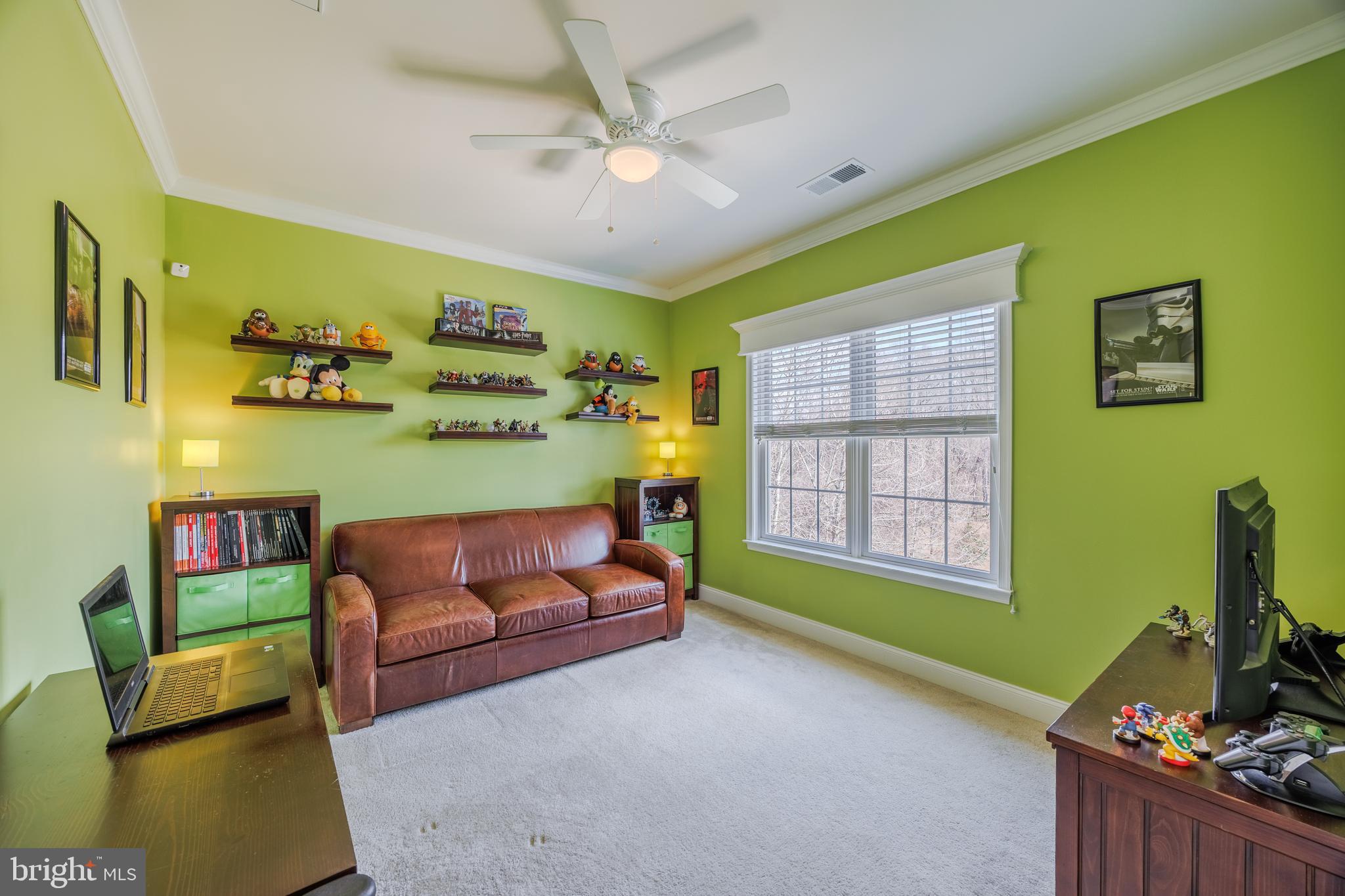 CATTAIL OVERLOOK - Residential