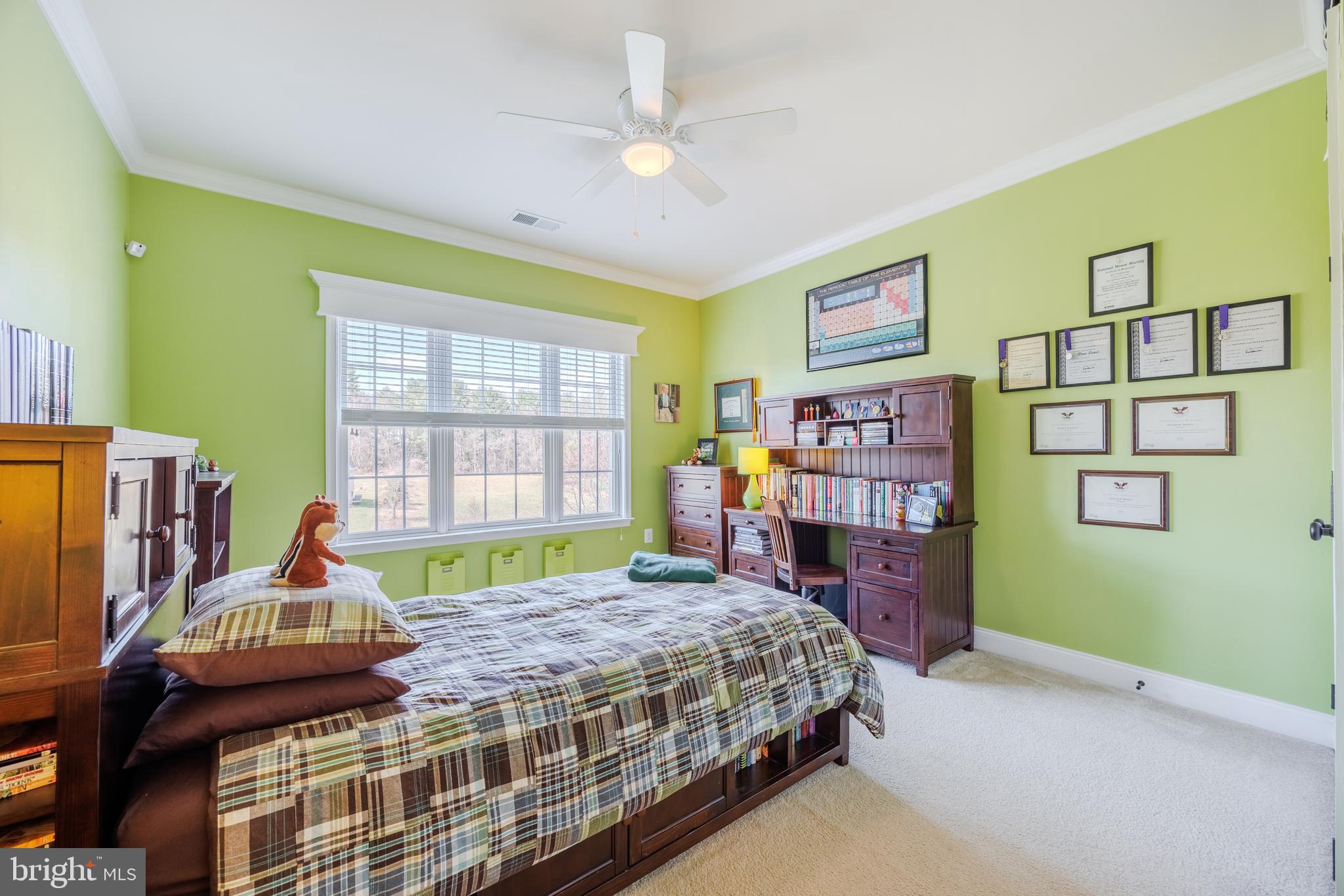 CATTAIL OVERLOOK - Residential