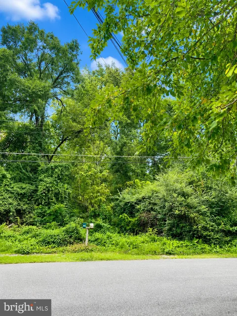 MLS: MDPG2217440
