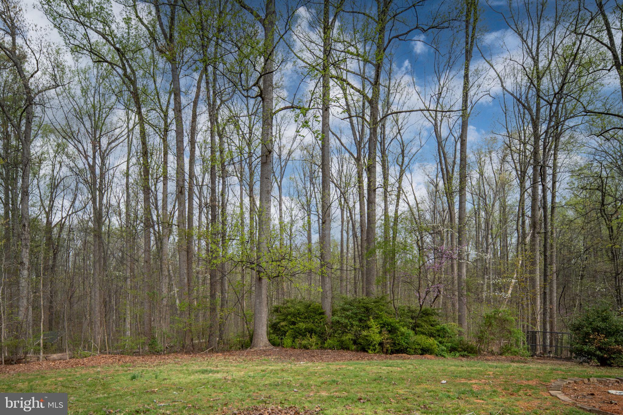 RICHARDS FERRY - Residential