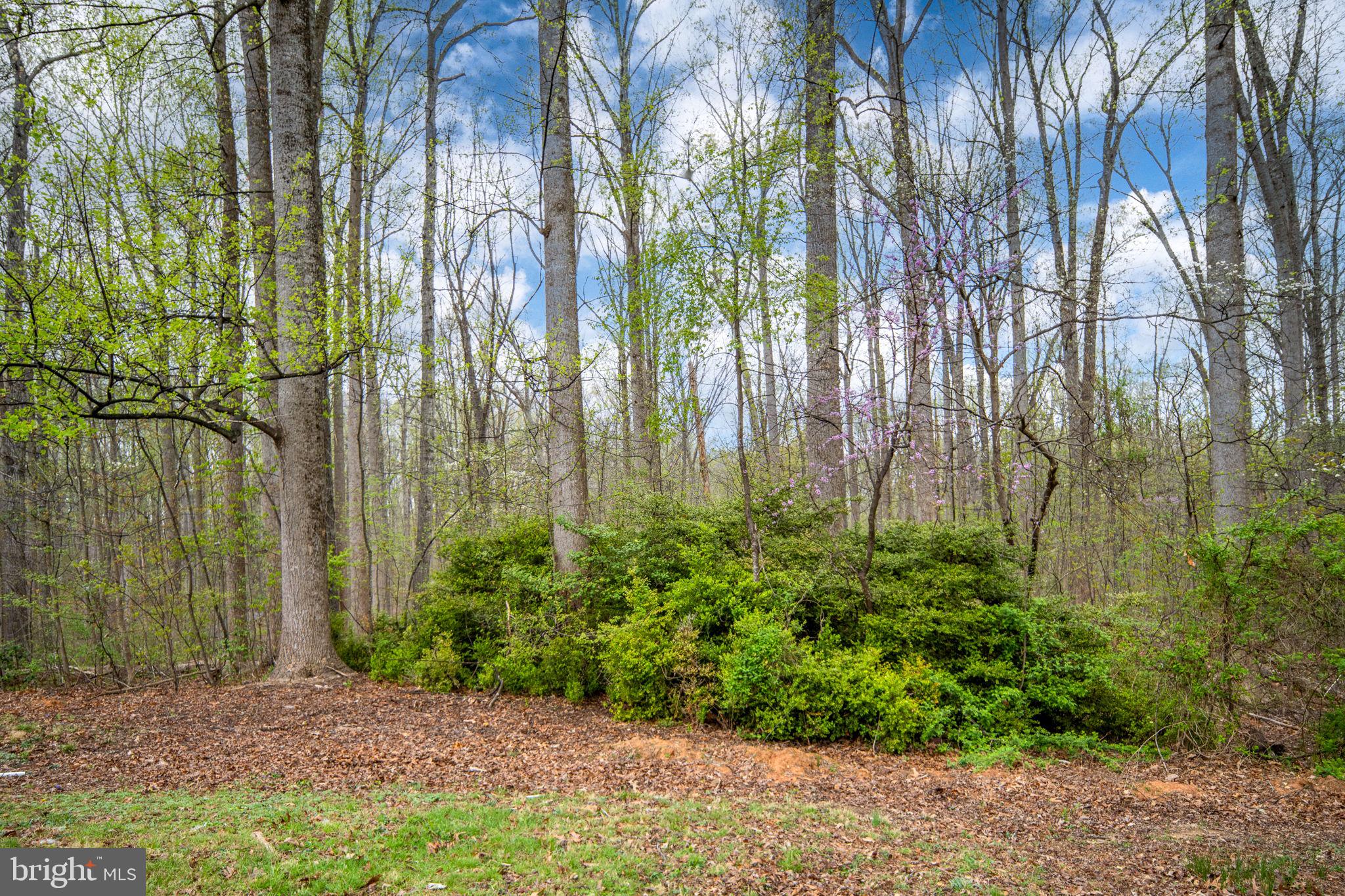 RICHARDS FERRY - Residential