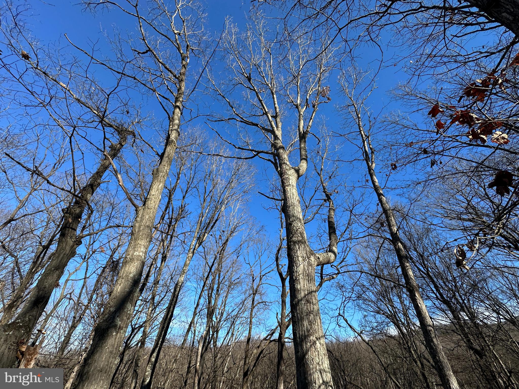 MOUNTAIN HOME SUBDIVISION - Land