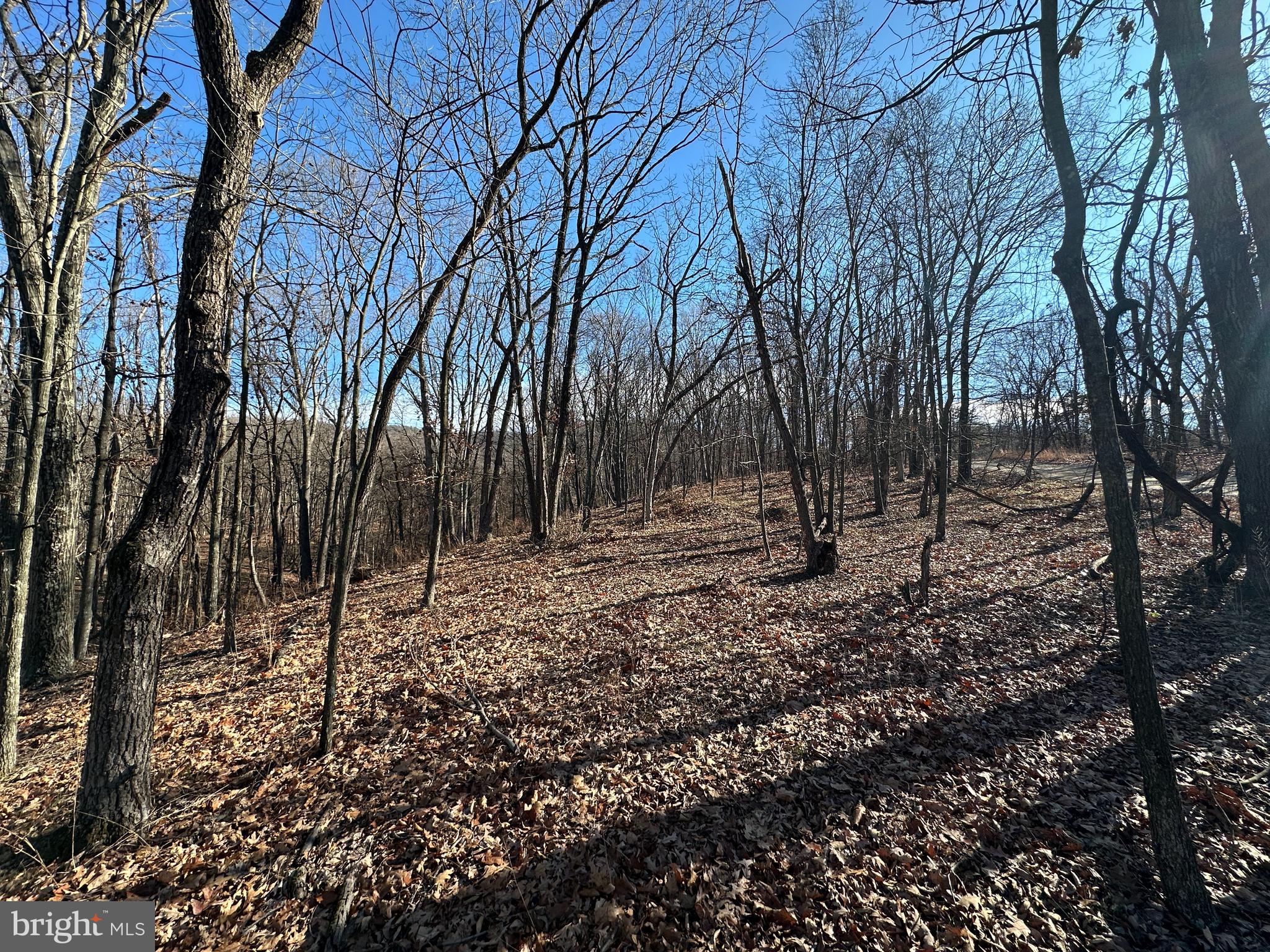 MOUNTAIN HOME SUBDIVISION - Land