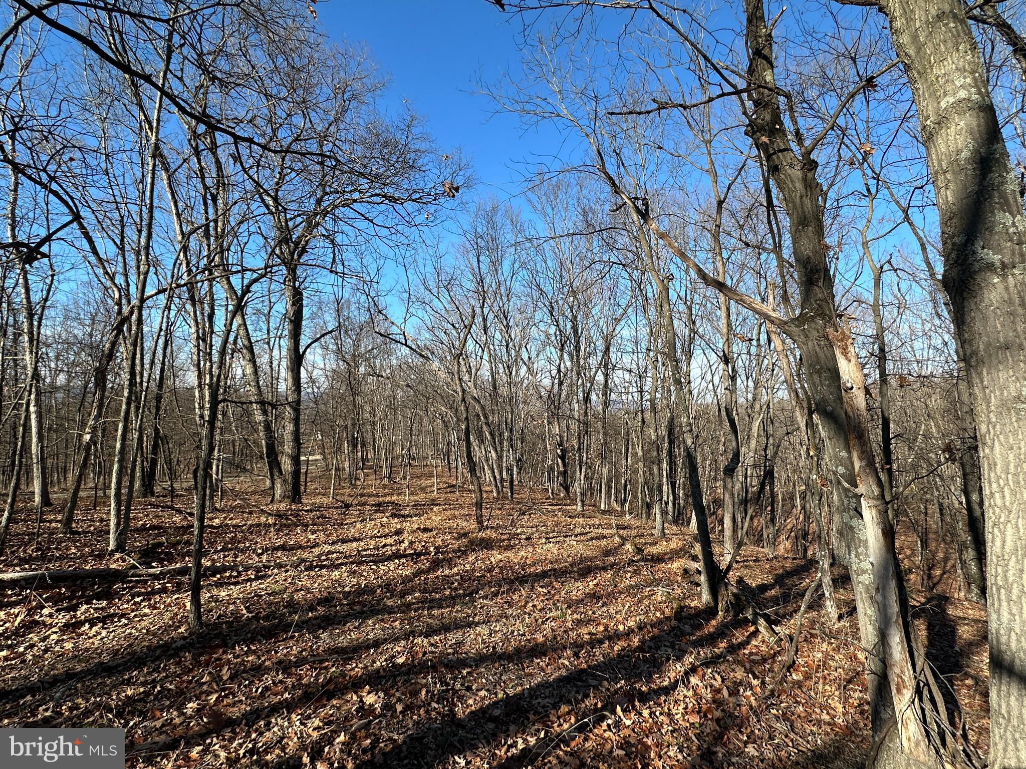 MOUNTAIN HOME SUBDIVISION - Land