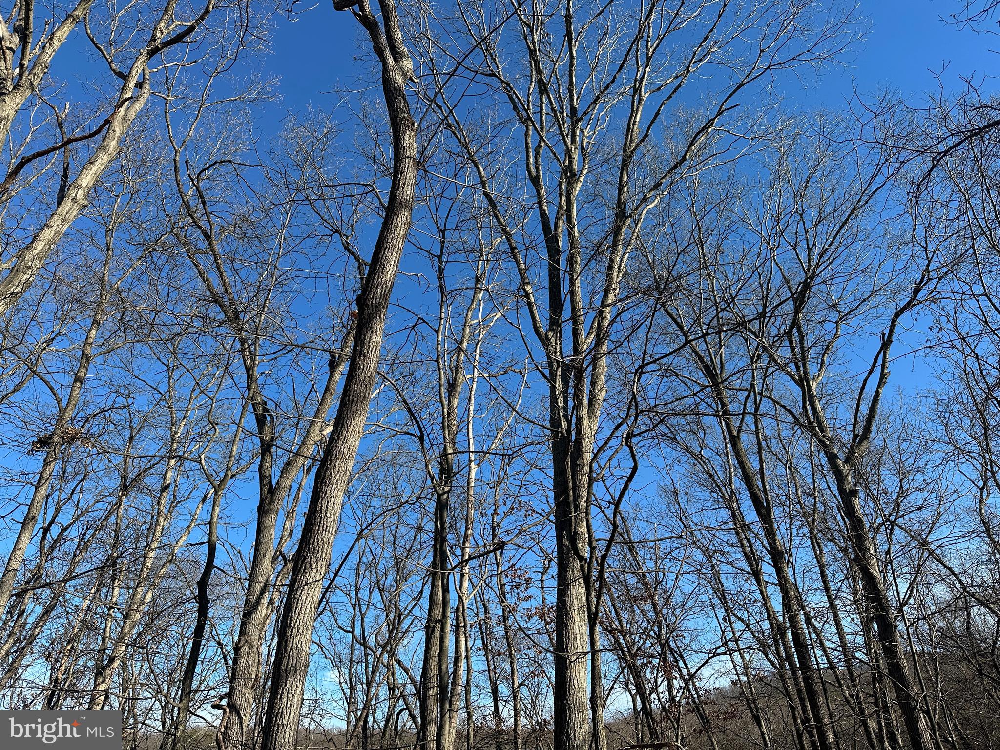 MOUNTAIN HOME SUBDIVISION - Land