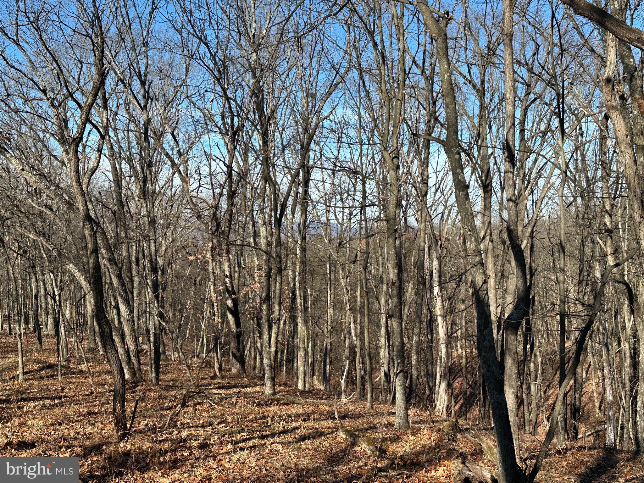 MOUNTAIN HOME SUBDIVISION - Land