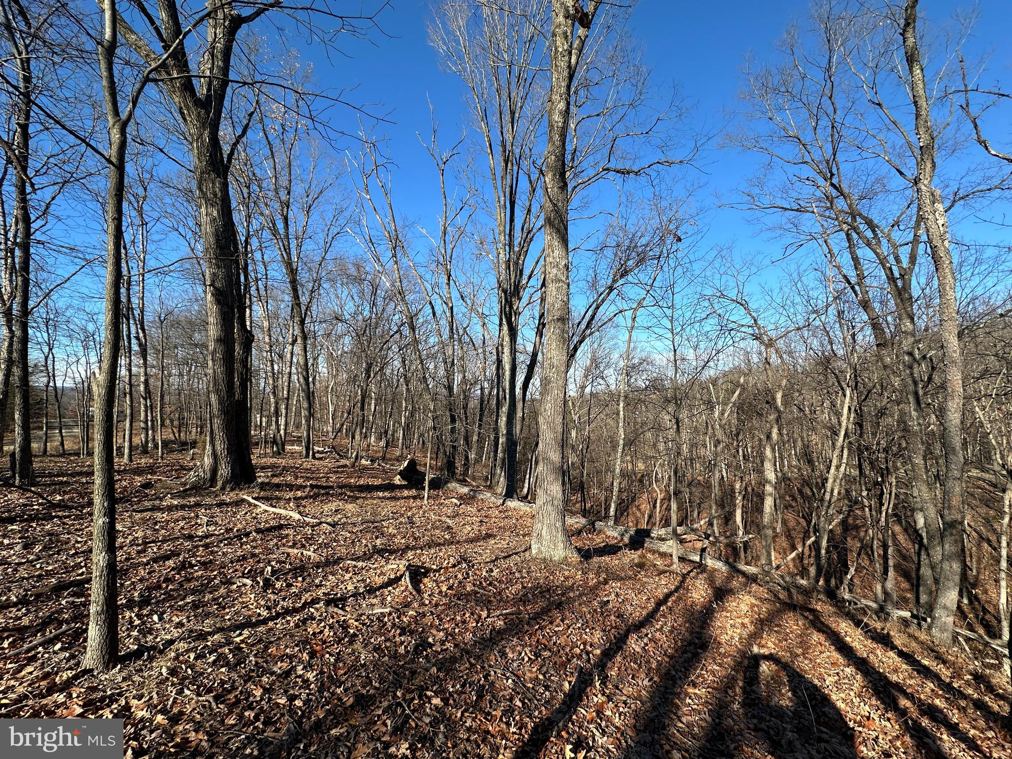 MOUNTAIN HOME SUBDIVISION - Land