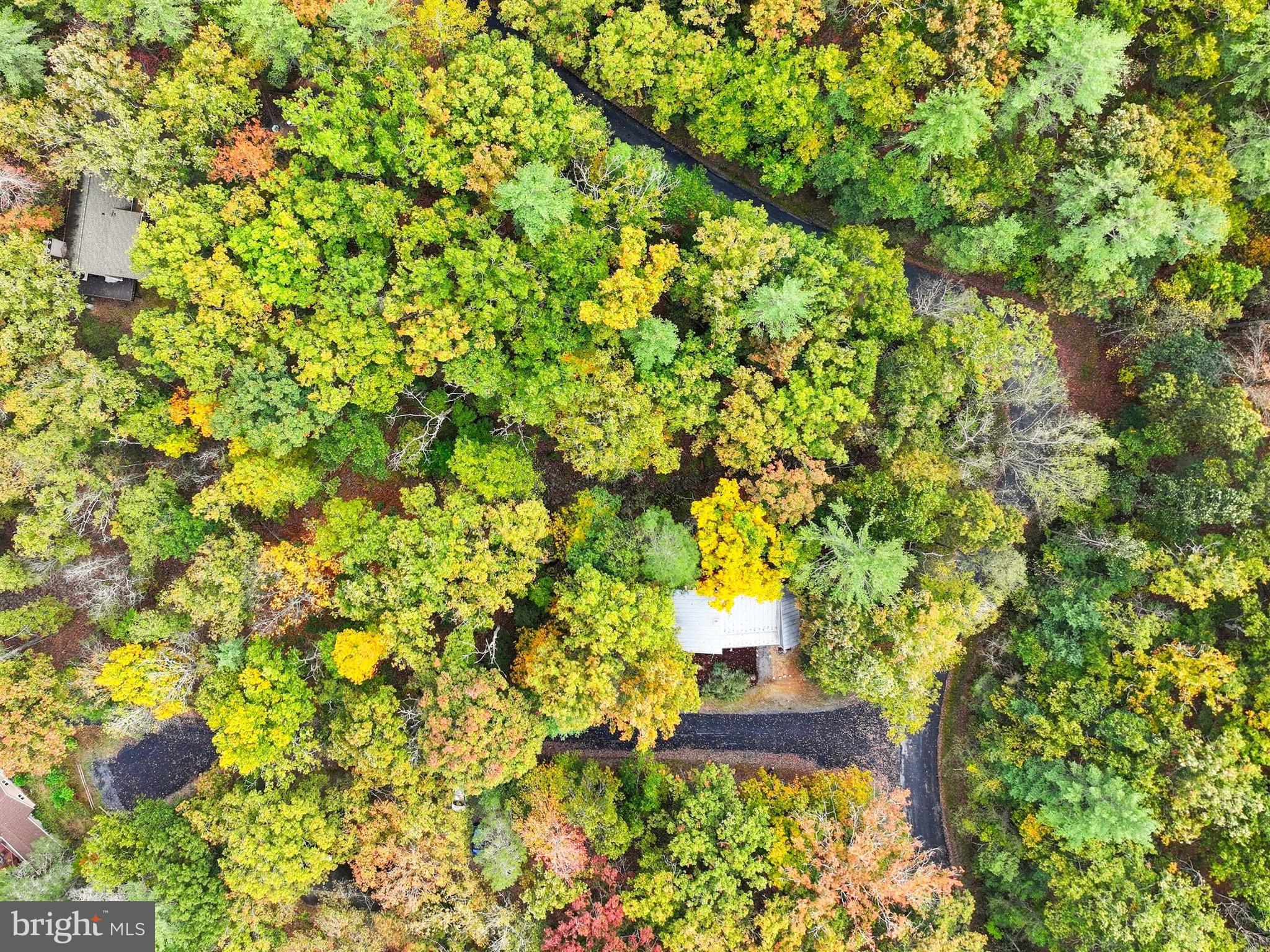 BRYCE MOUNTAIN - Residential