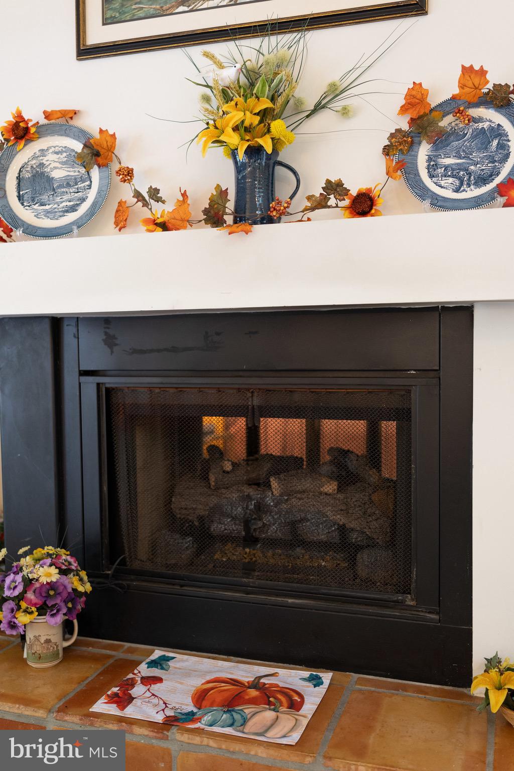 BRYCE MOUNTAIN - Residential