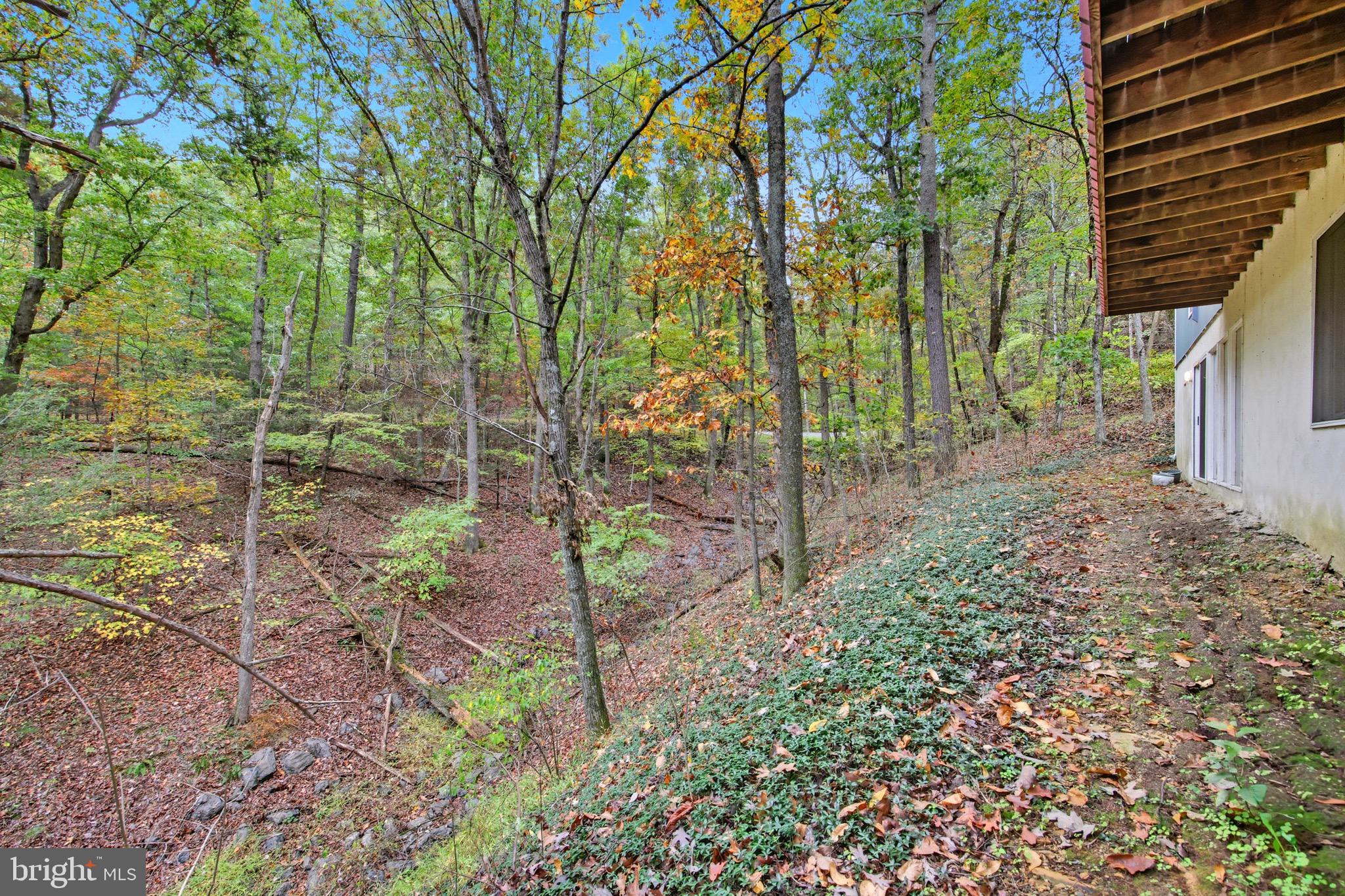 BRYCE MOUNTAIN - Residential