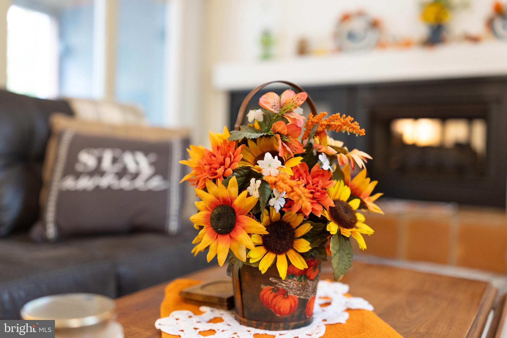 BRYCE MOUNTAIN - Residential