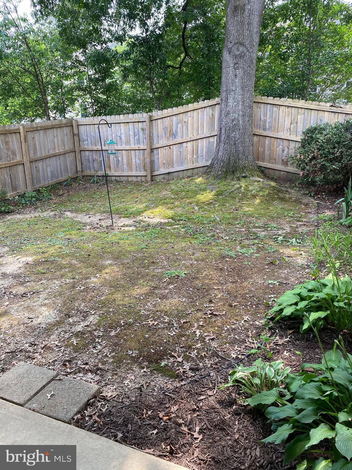 OLDE GREENWICH - Residential