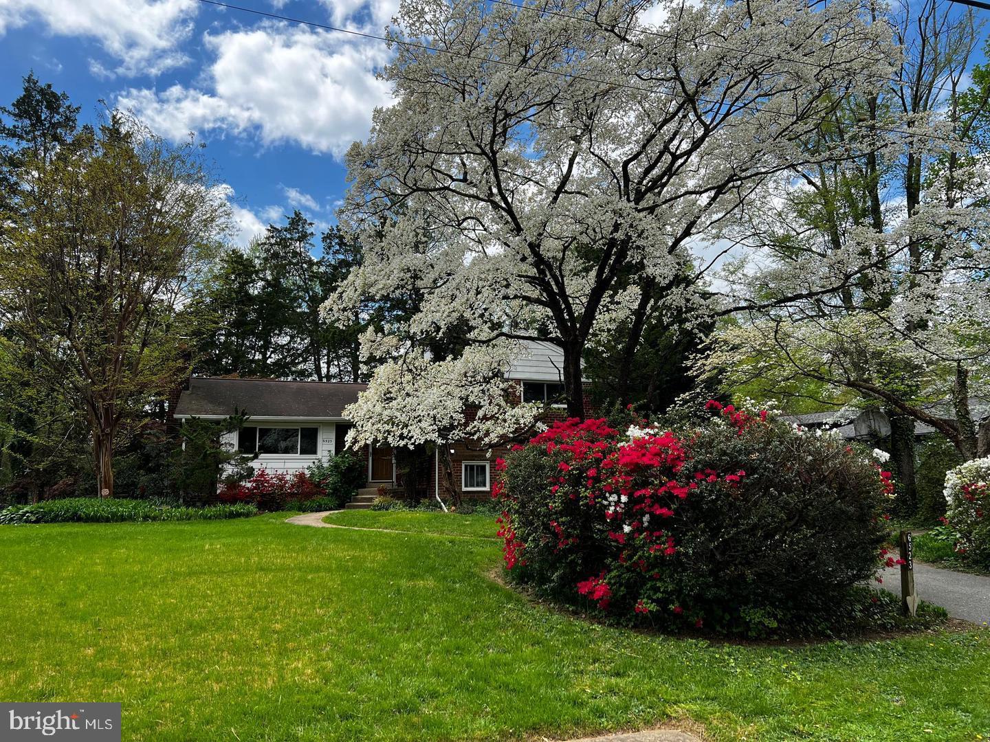 Wonderful open and big home! Glowing with comfort and boasting numerous rooms. This bright and airy 4-bedroom, 4-bath home features an updated kitchen, a living room with a fireplace, a dining room, a family room, a full basement, a gym, a yoga room, a workspace, a main bedroom with an en-suite bathroom, and ample storage space. PLUS a half acre on a very pretty street, a deck to enjoy, a path close by that leads to school, and a great yard to relax and enjoy nature. Easy commute to DC and Tysons and close to shopping!