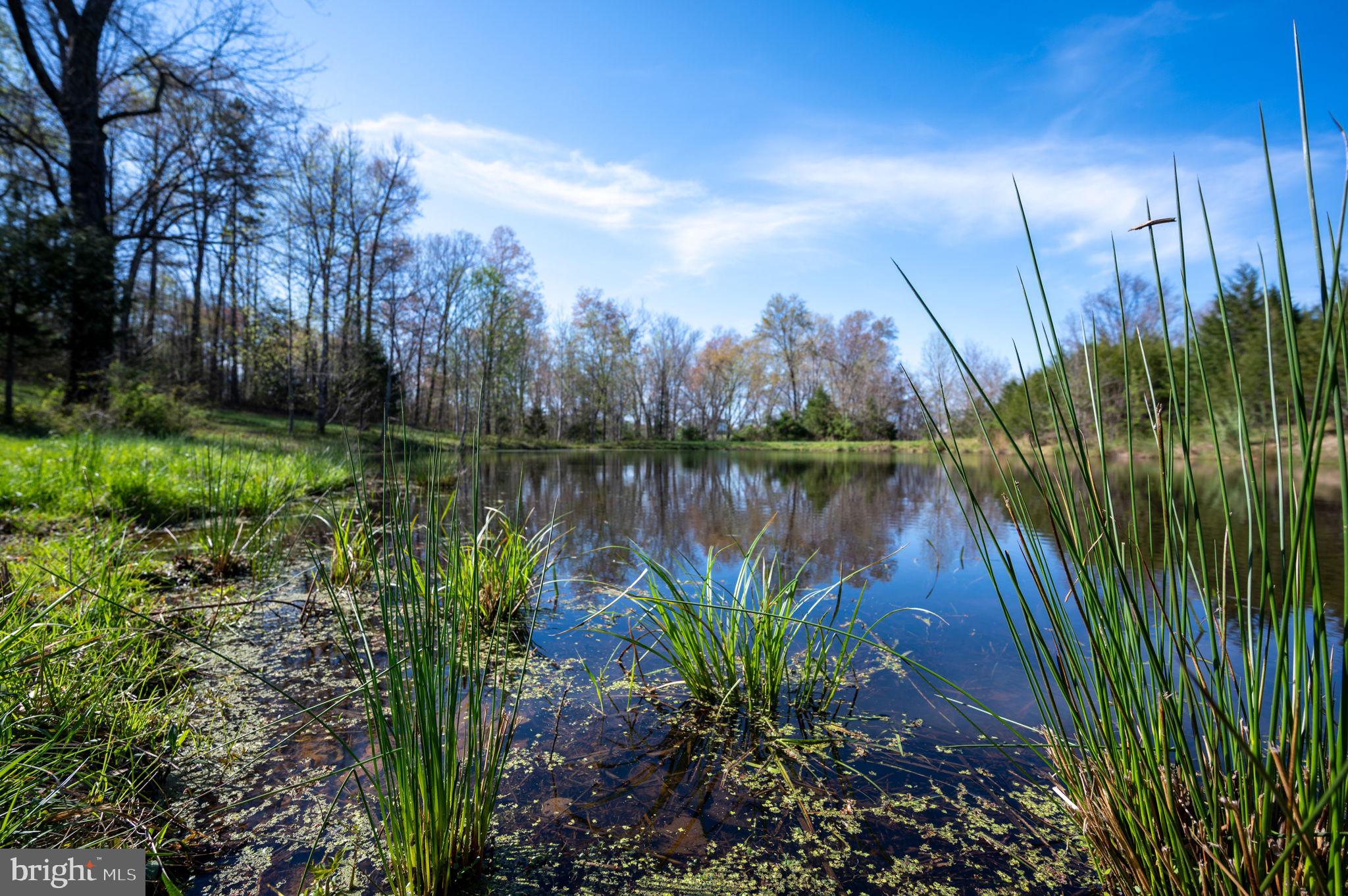 FOX GLEN EQUESTRIAN ESTATES - Residential