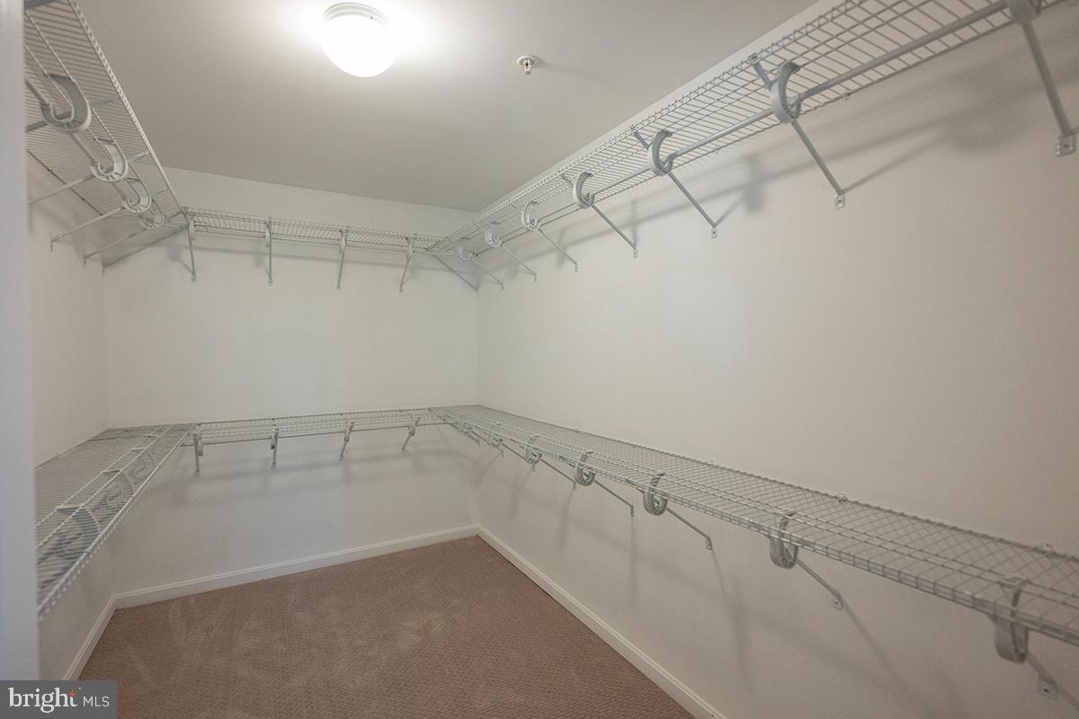 CLINTON DALE ESTATES - Residential