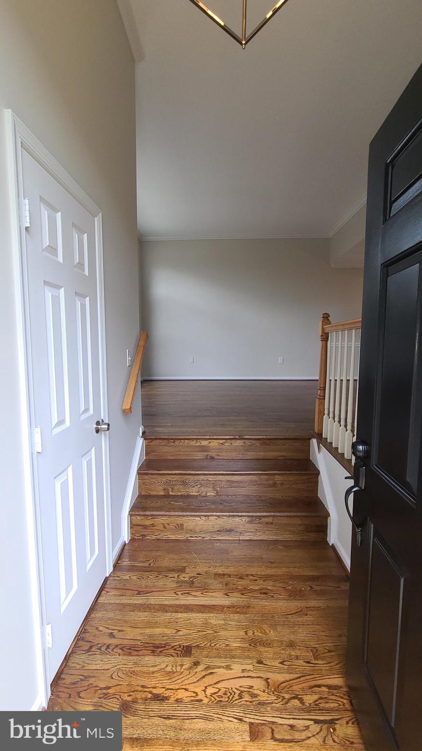 20346 BRENTMEADE TERRACE