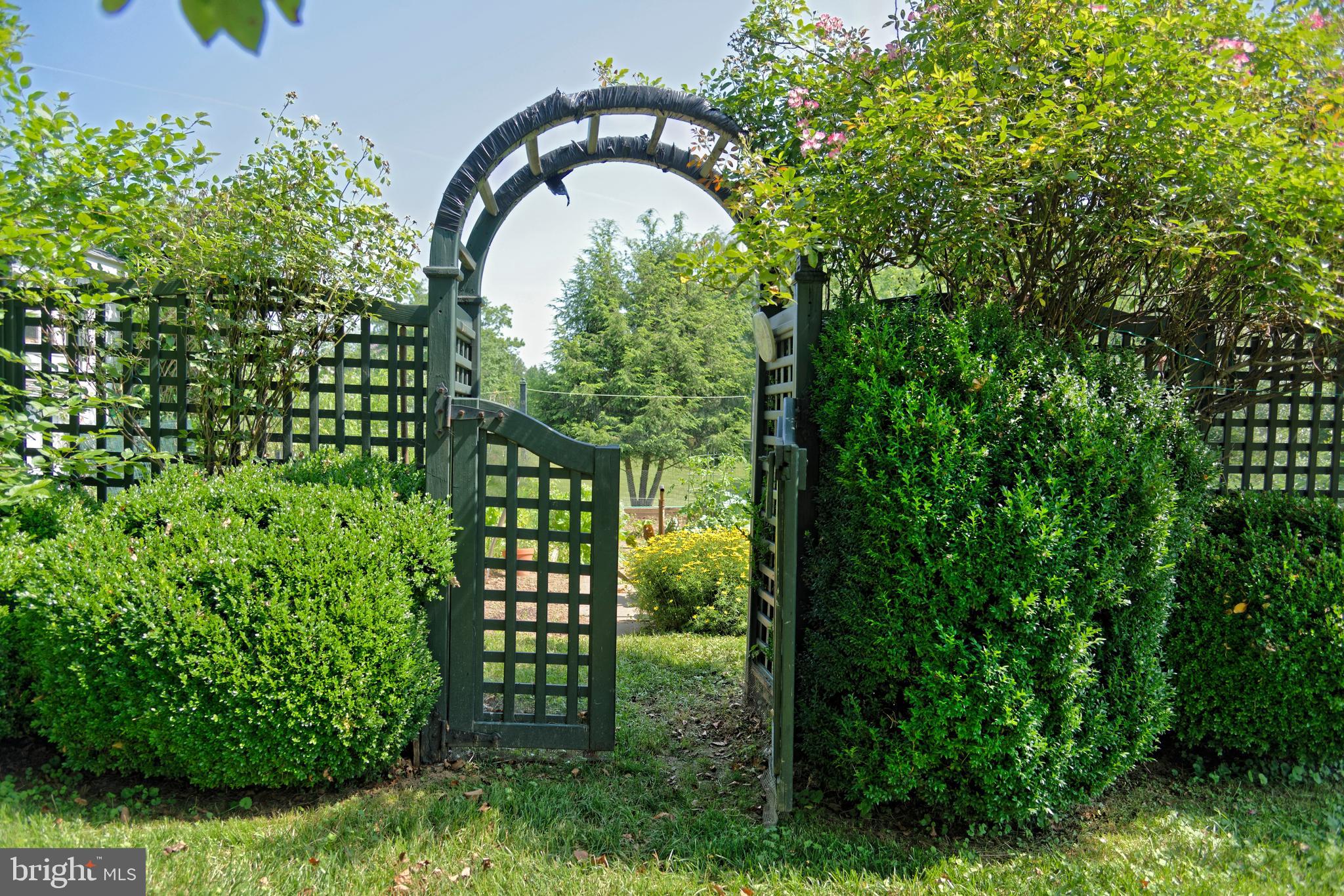 MIDDLEBURG - Residential