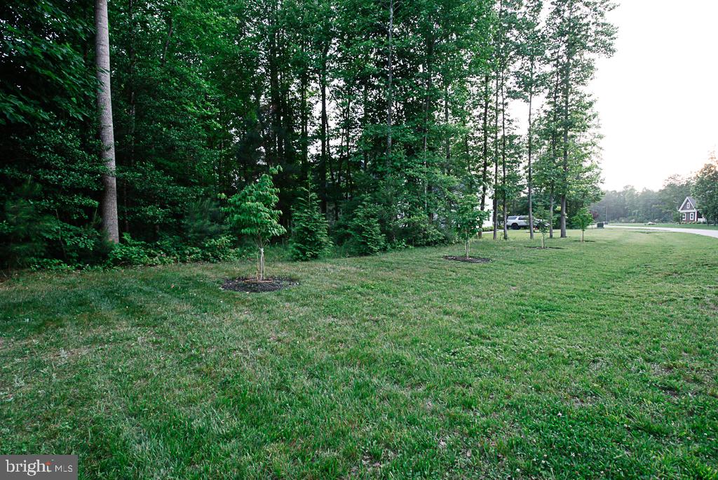 CANAAN WOODS - Residential