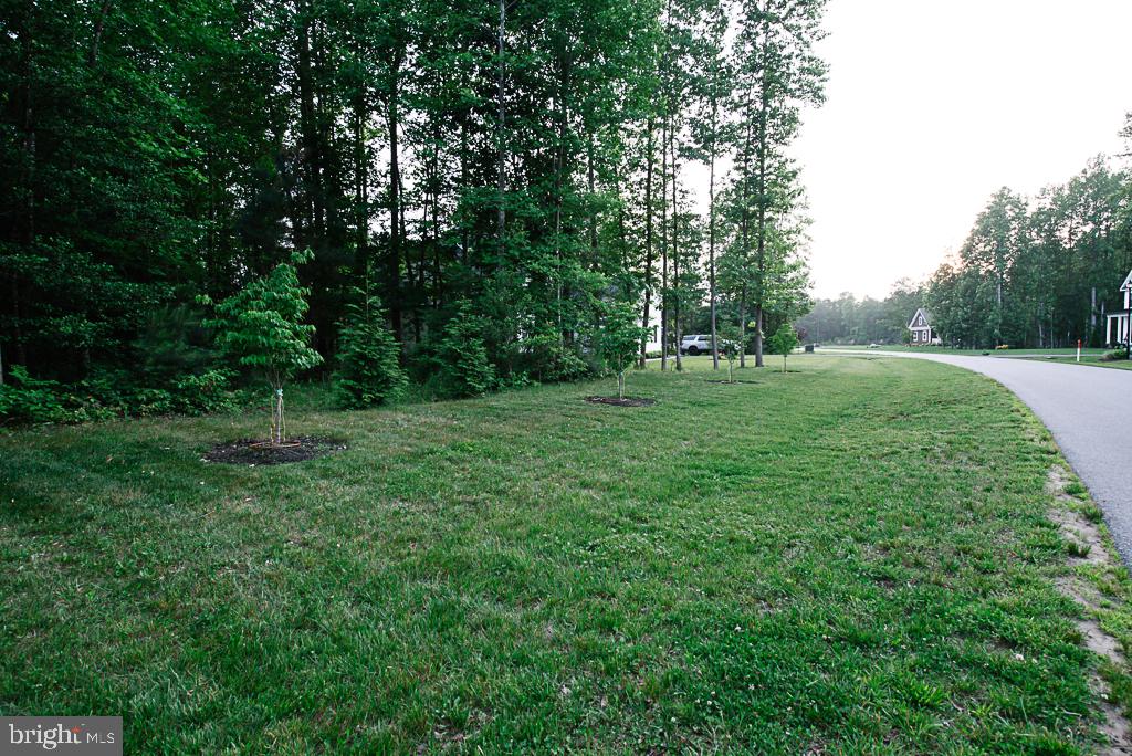 CANAAN WOODS - Residential