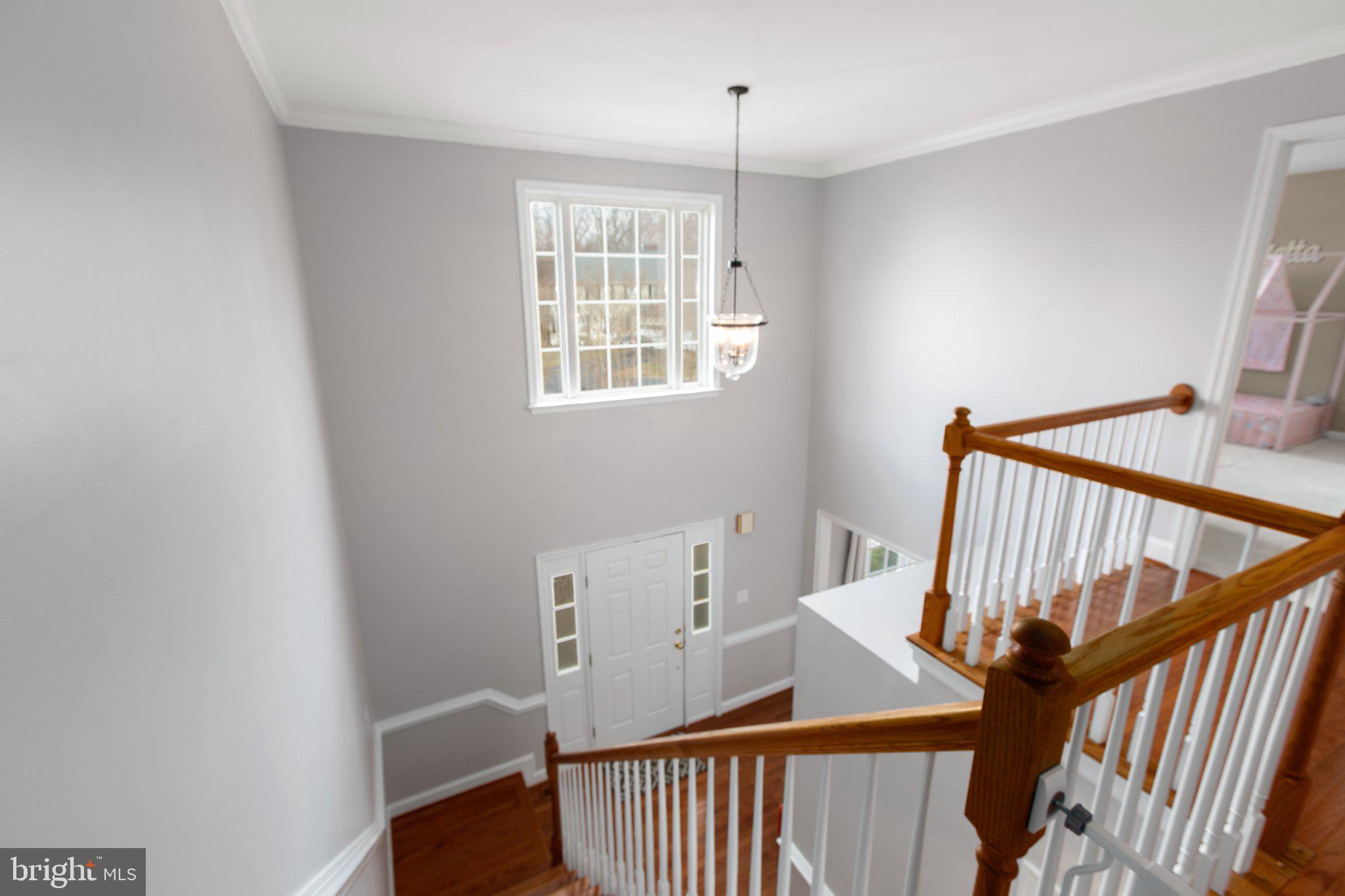 CARDINAL FOREST - Residential