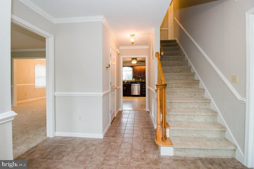 BELMONT ESTATES - Residential